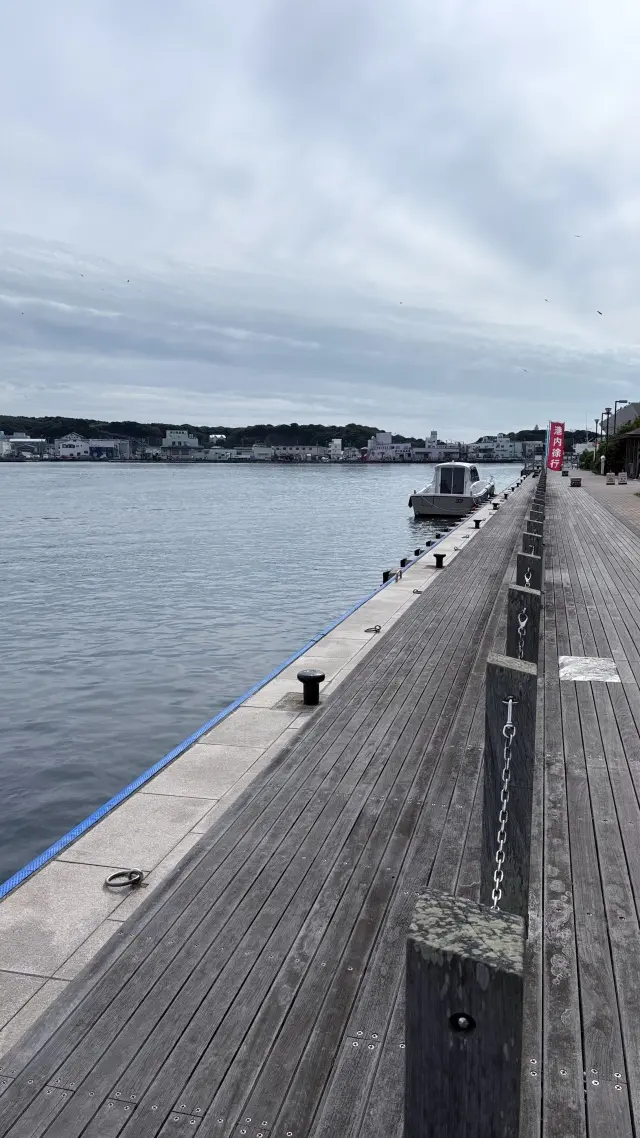 三浦市 三浦口 三浦港 神奈川県三浦市 海