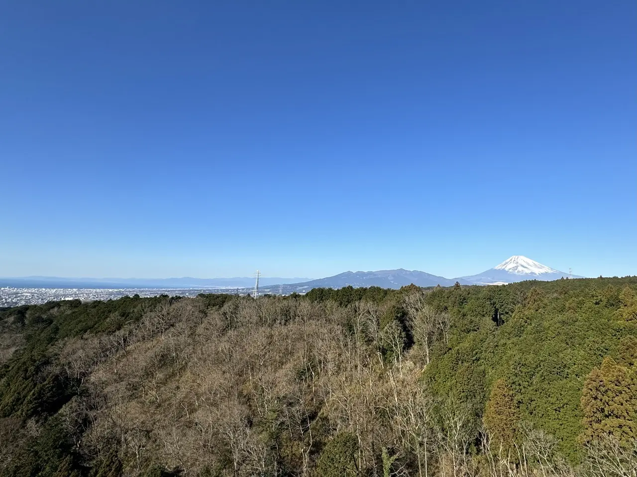 富士山と三島市街