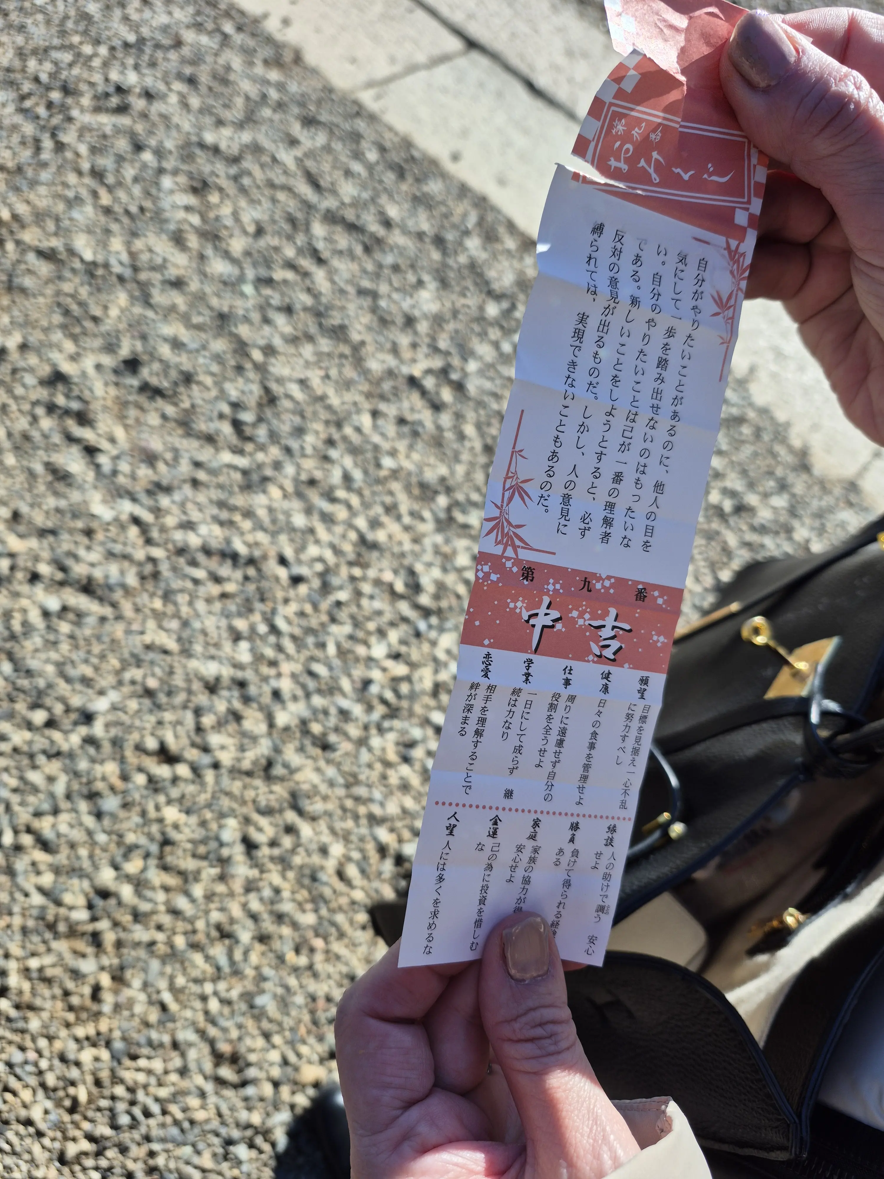 2026年【初詣レポ】護国寺のパワースポット&amp;グルメ_1_9-1