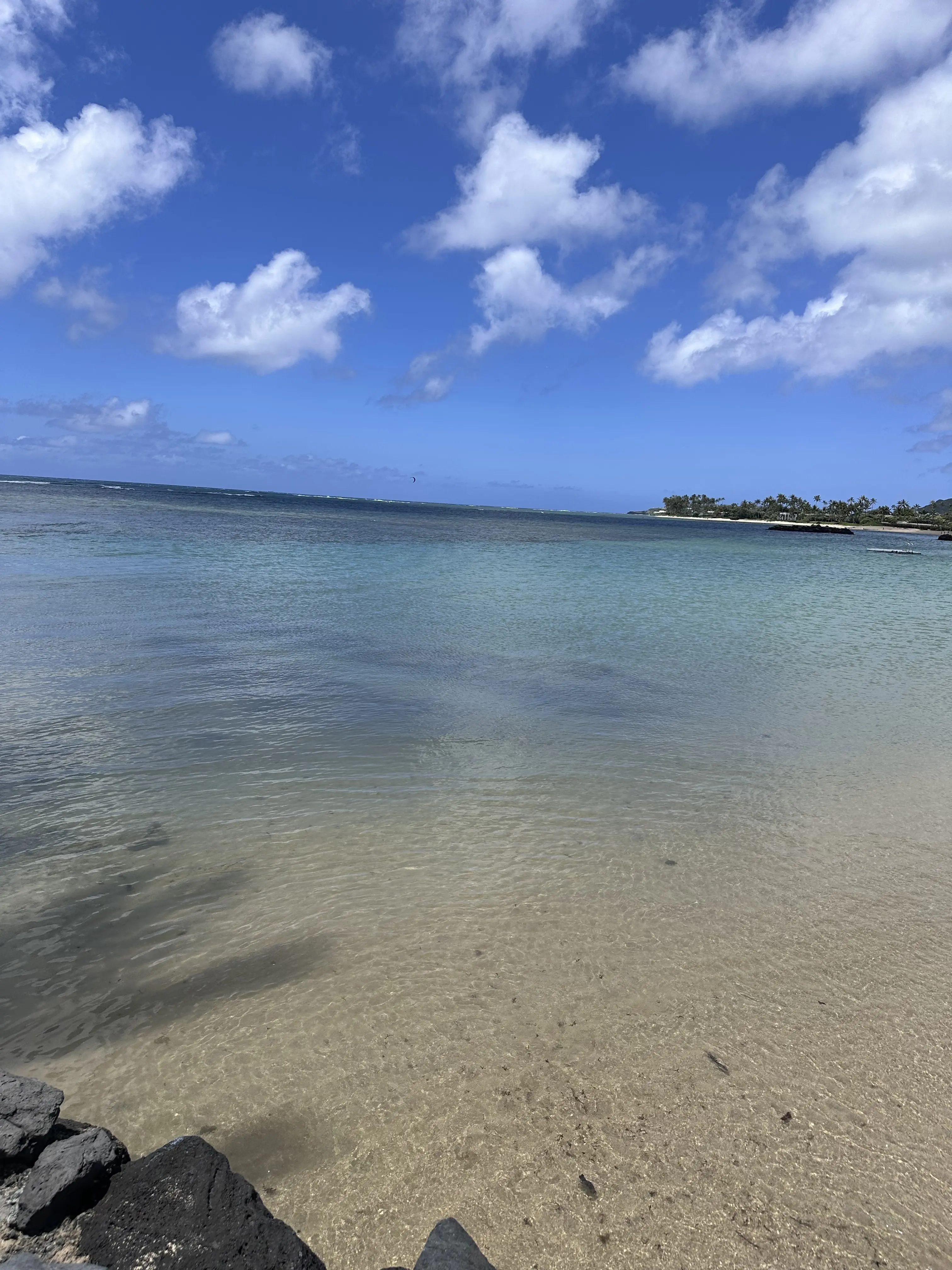 Hawaiiのフレンチレストラン_1_16
