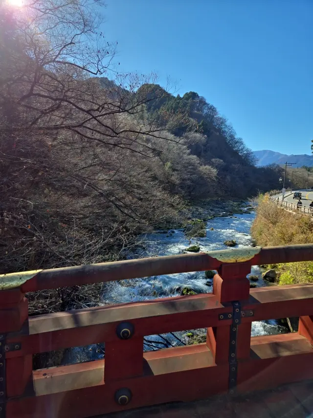 晩秋の日光・宇都宮旅 前編 世界遺産めぐり_1_20