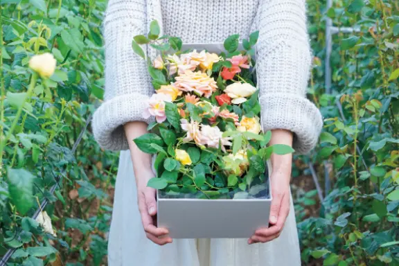 センスがいい花好きがレコメンド“日本全国、憧れの薔薇園3”_1_3