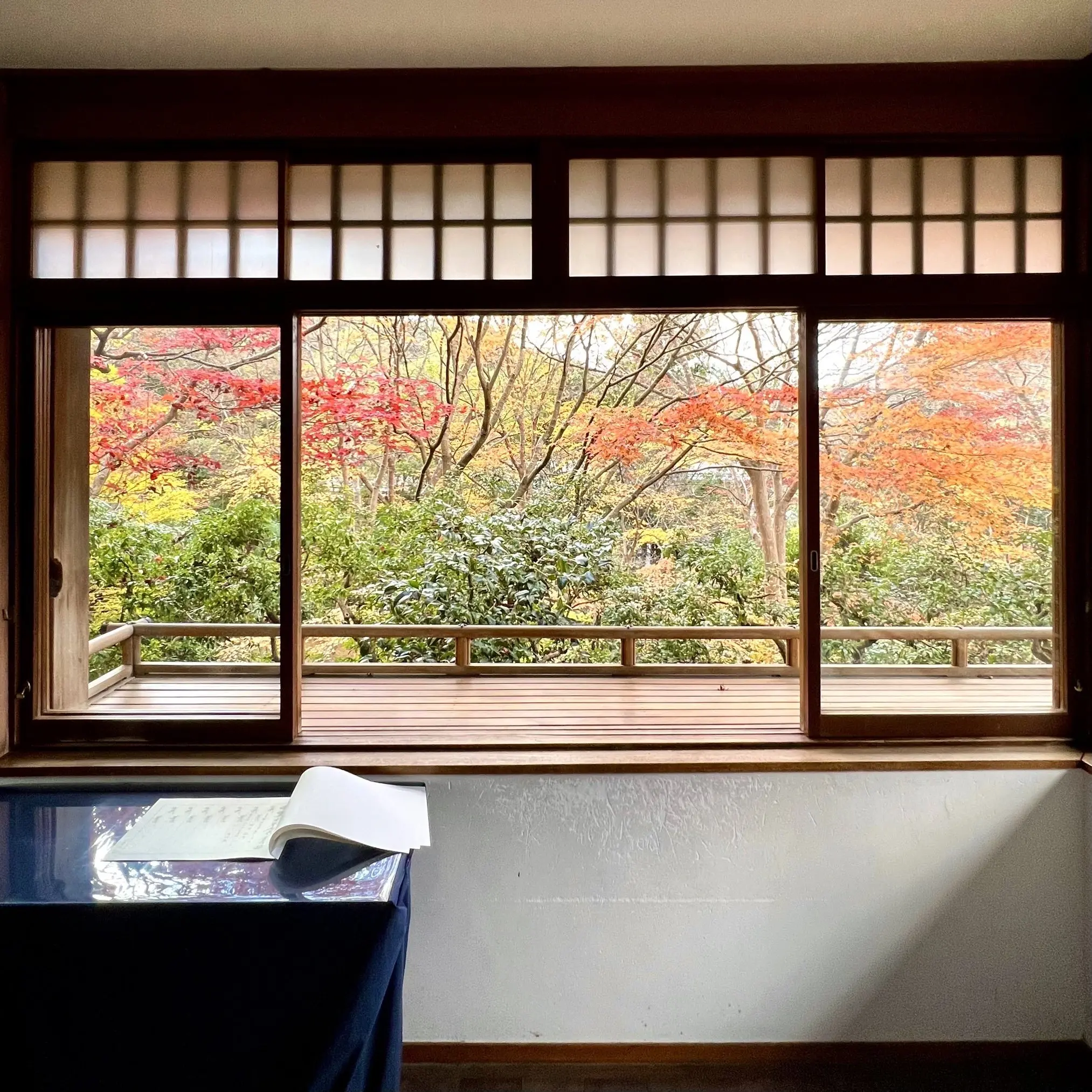 秋の景色を楽しむ♡京都の紅葉_1_16