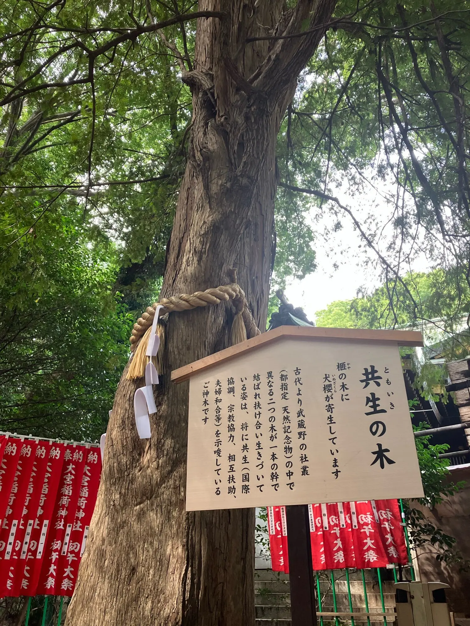 東京のへそ　御朱印　御朱印さんぽ　大宮八幡宮　武蔵國三大宮　多摩の大宮　御朱印散歩　かわいい御朱印 京王井の頭線　へそ福餅