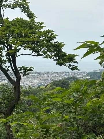 新緑眩しい鎌倉ハイキングに出掛けませんか？_1_14