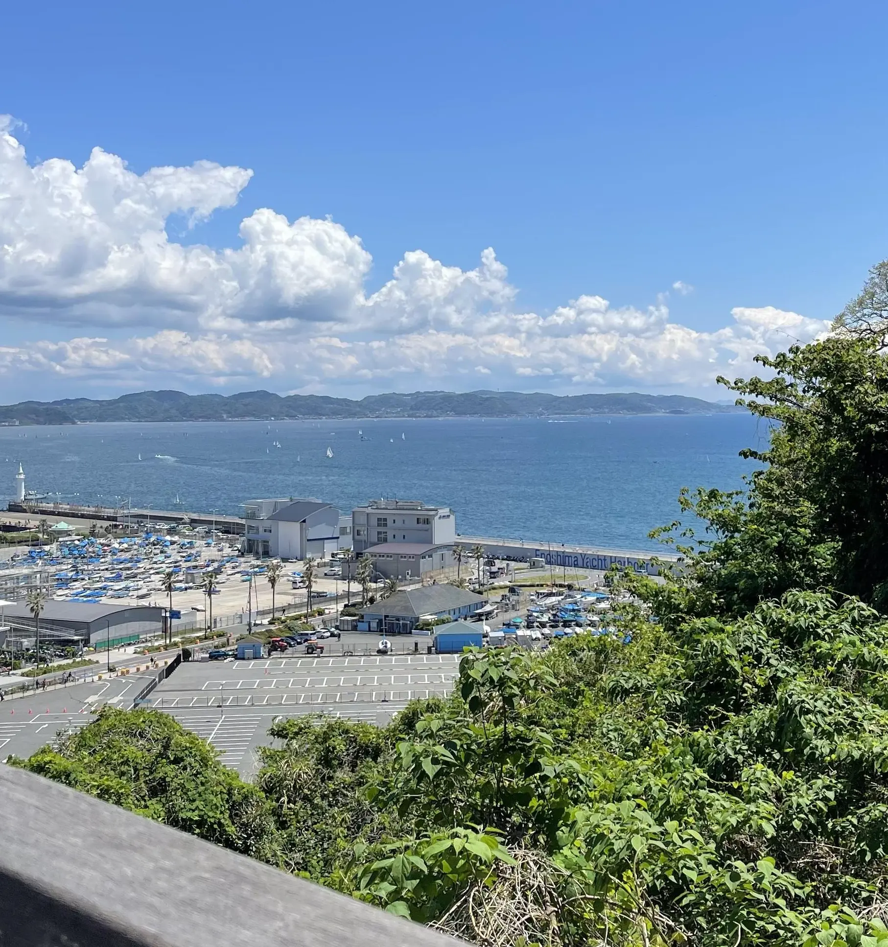 ピンクシャツと白デニムで江ノ島散策_1_5