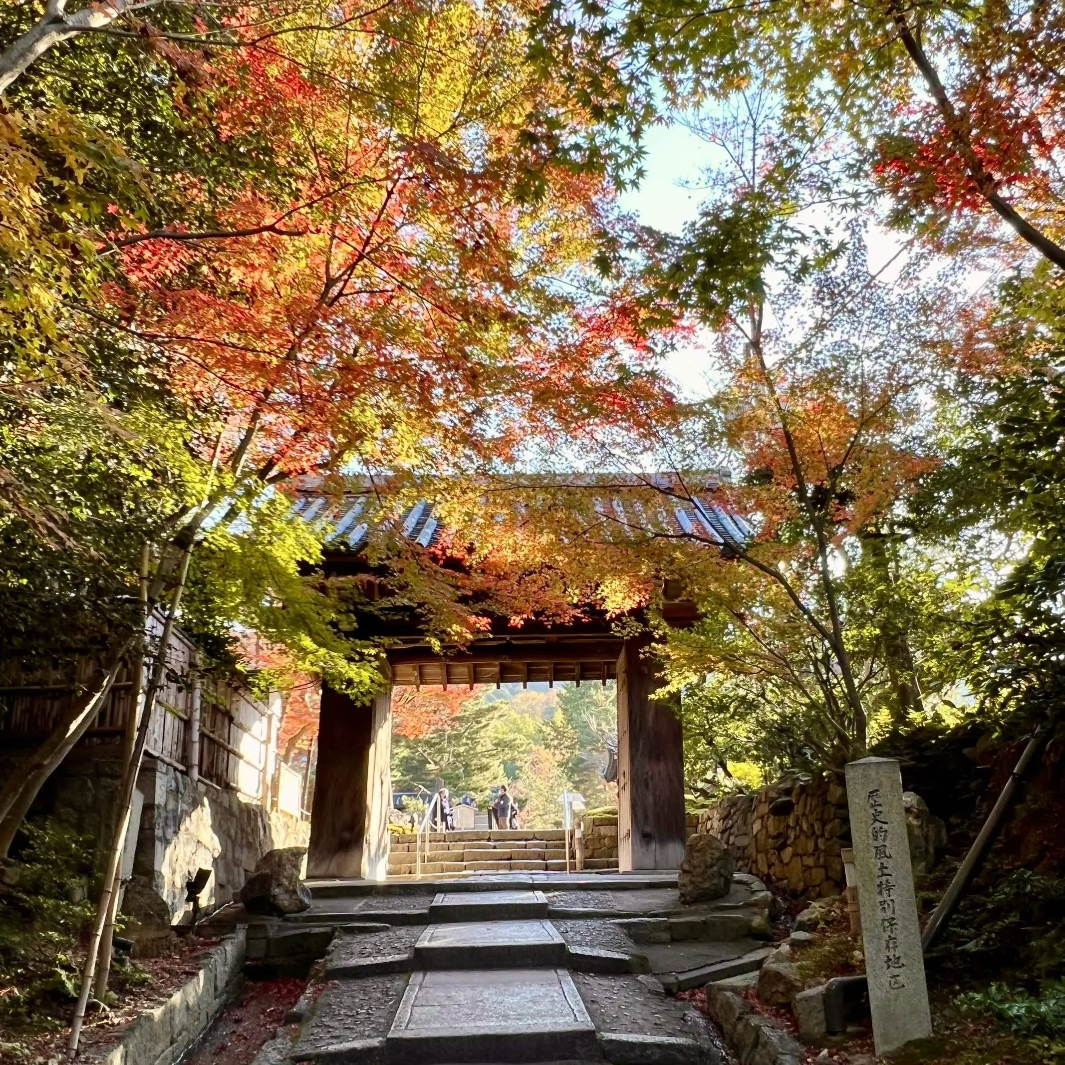 秋の景色を楽しむ♡京都の紅葉②_1_19