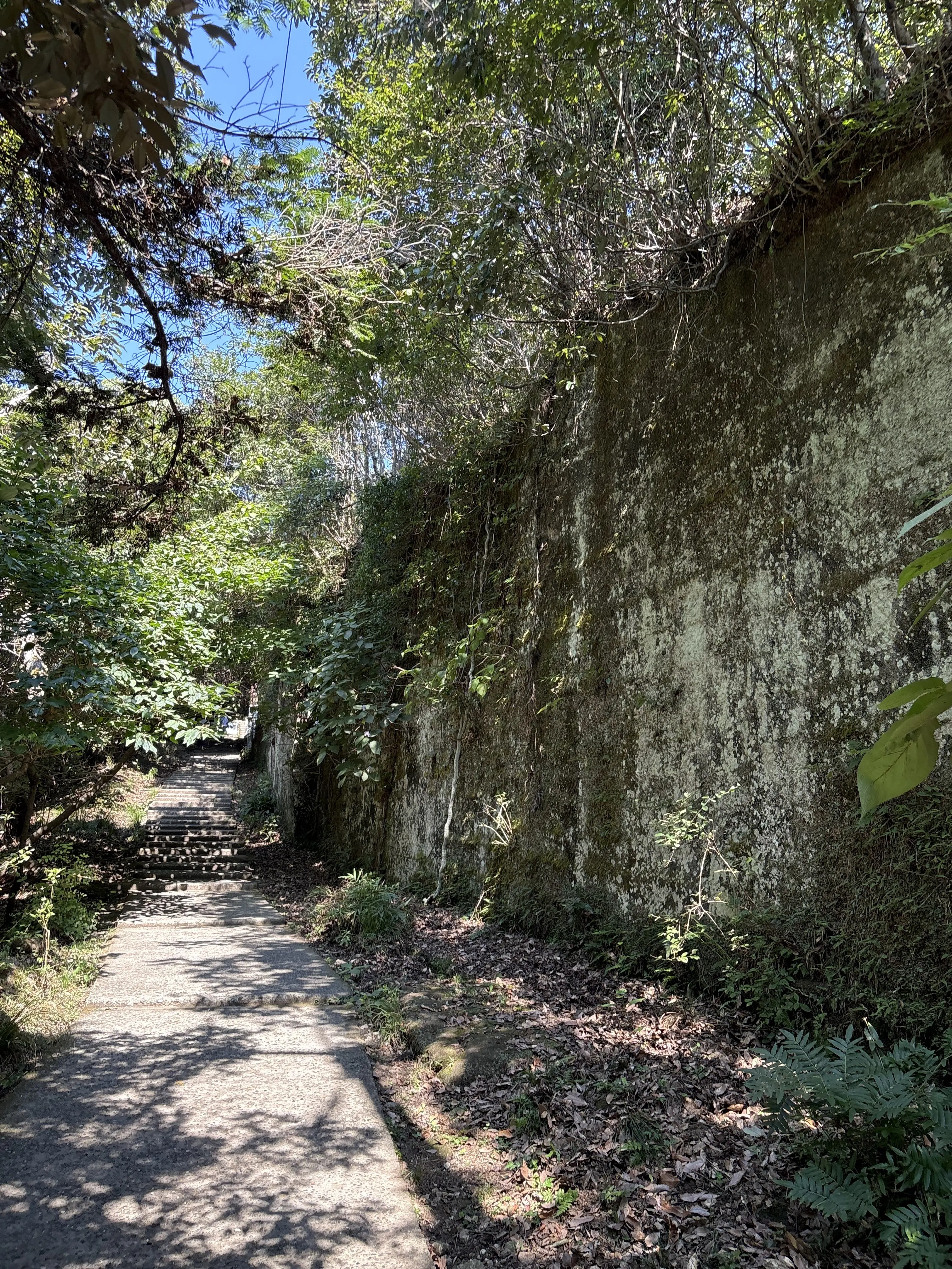 館山　千葉　夏休み　夫婦旅行