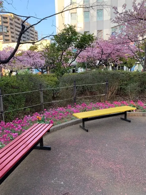 桜の形の・・・_1_2-1