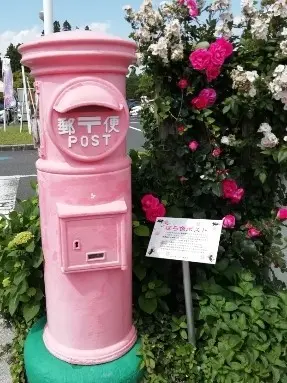 レトロな形の郵便ポスト。しかも薔薇にちなんでピンク色。ばら色ポスト、という名前だそうです。