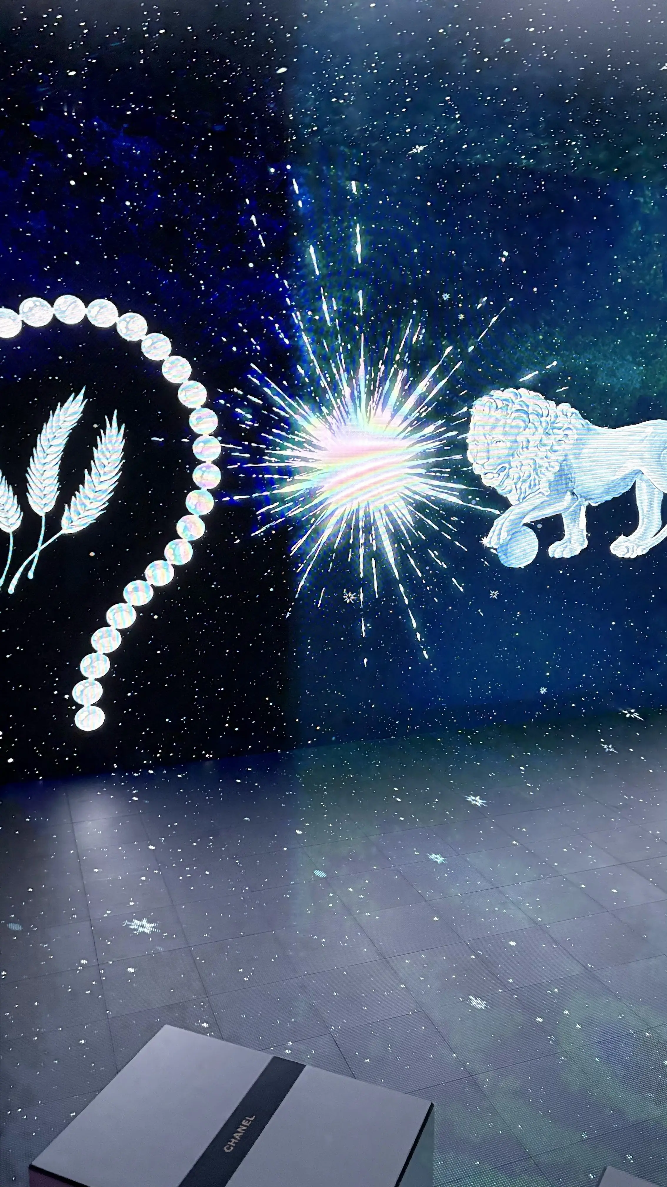 ライオン　シャネル　WINTER　COLLECTION