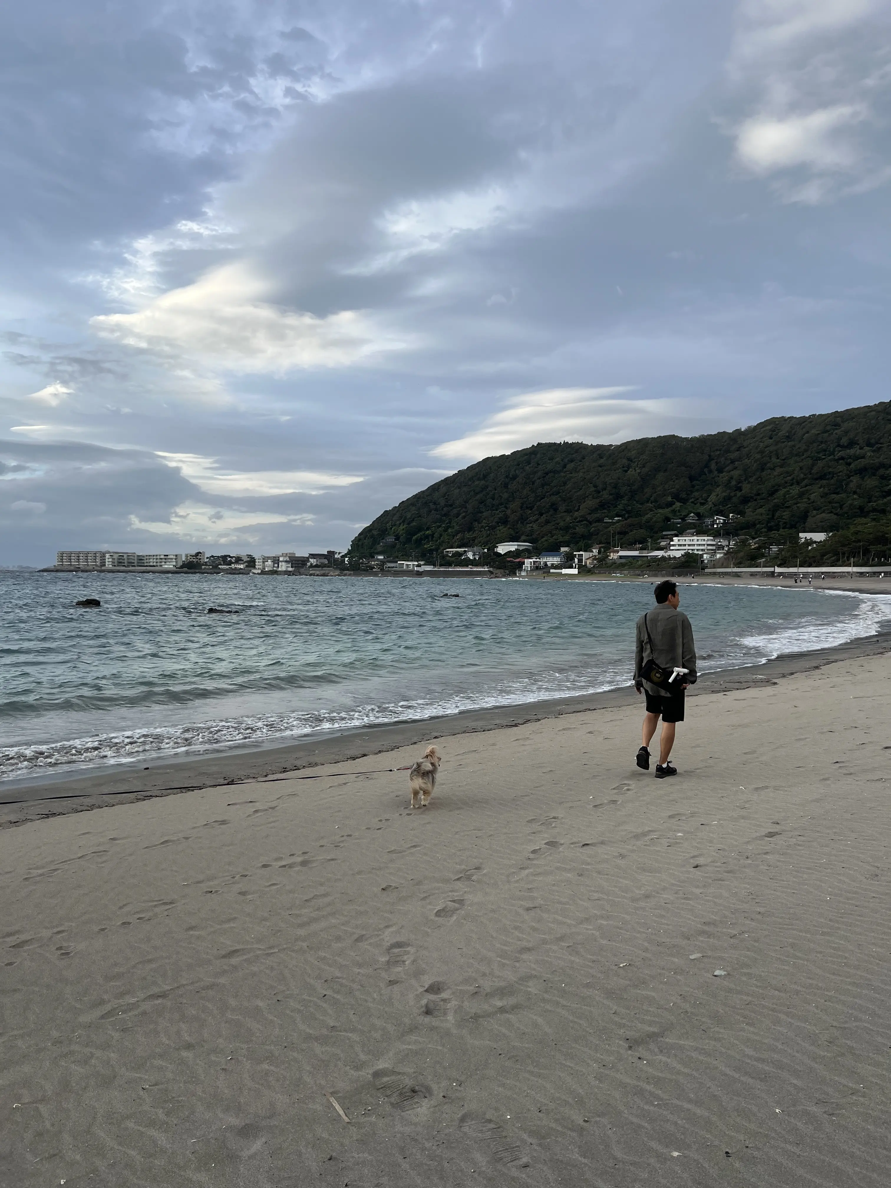 砂浜散歩を楽しむ家族