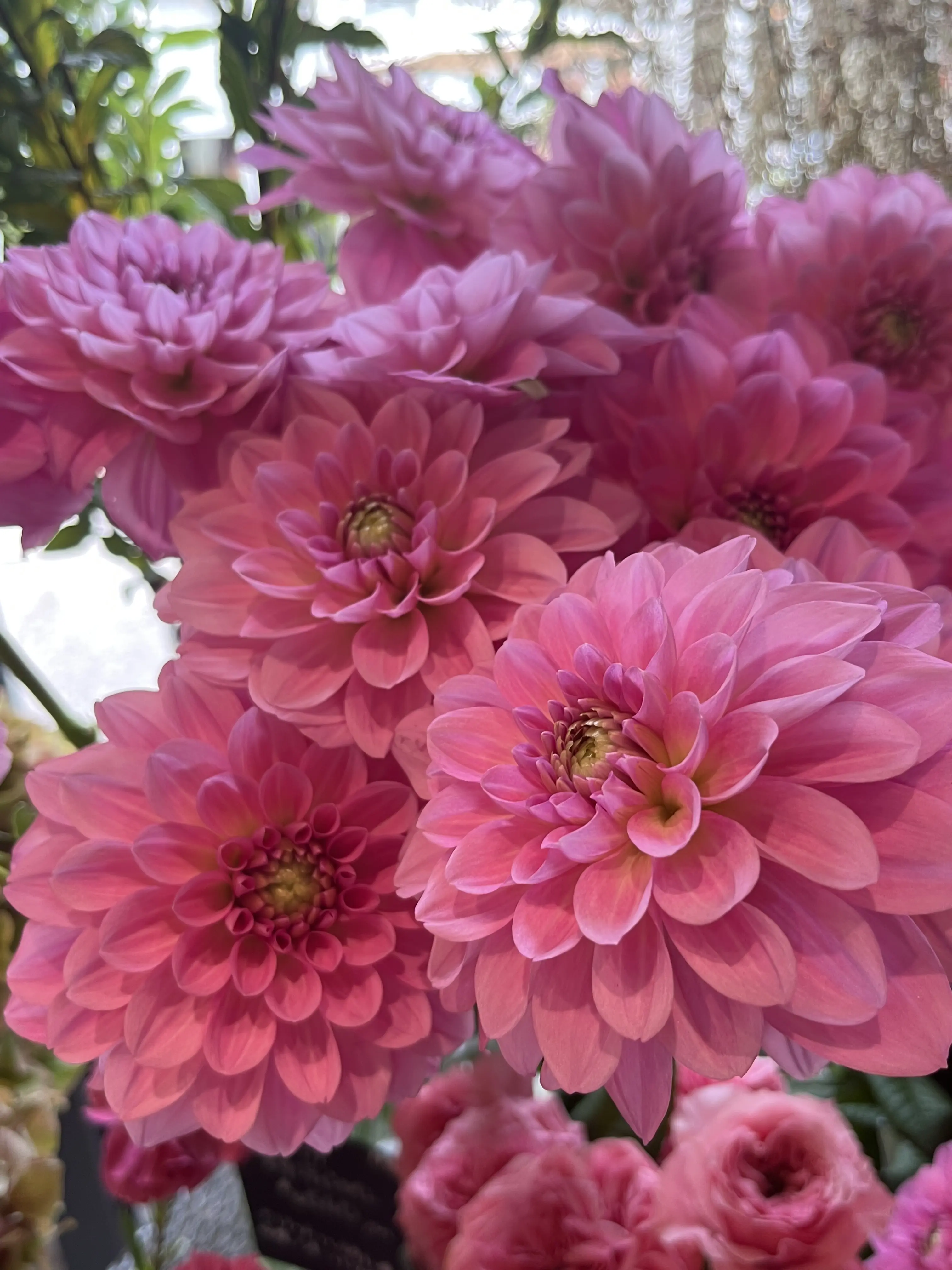 久々の花活♪秋色のお花の中で〝花屋で写真館〟_1_16