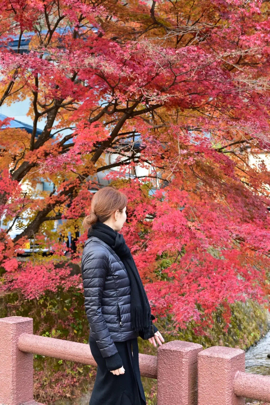 晩秋の那須高原へ紅葉狩りに_1_6