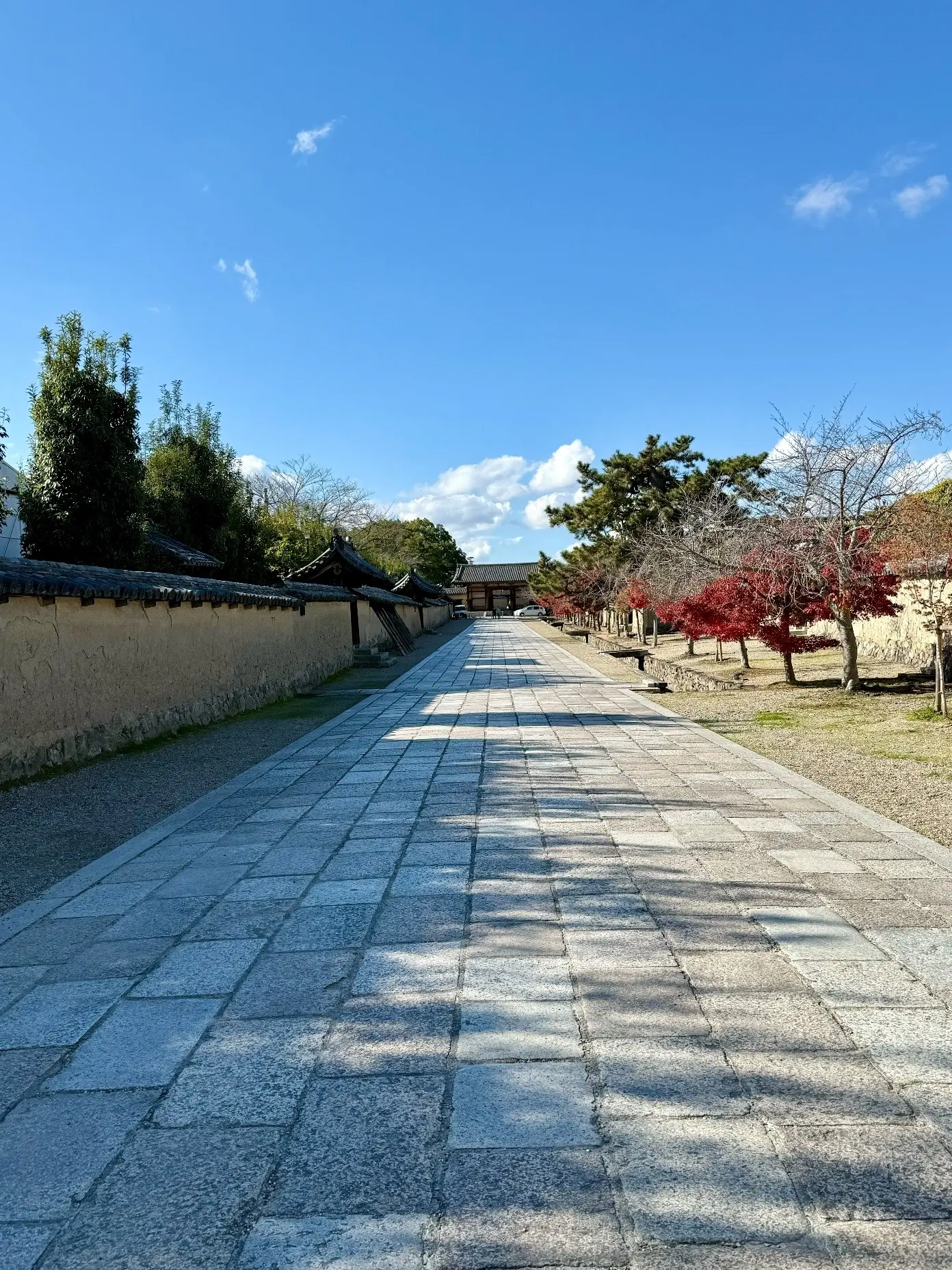 【大人旅 奈良】1300年以上の歴史を持つ世界文化遺産「法隆寺」_1_34