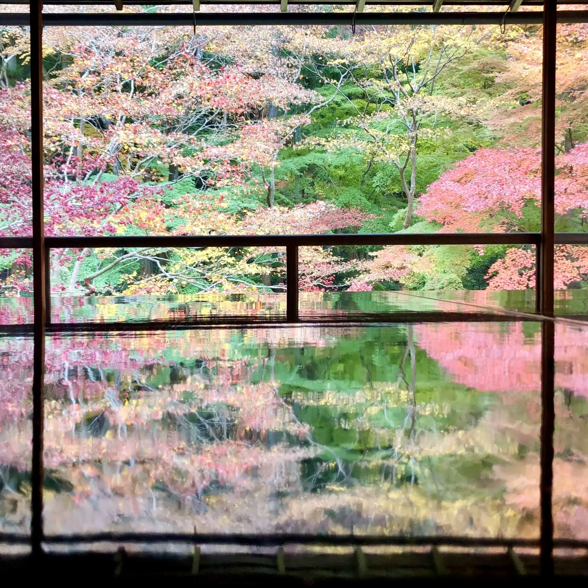 秋の景色を楽しむ♡京都の紅葉_1_9