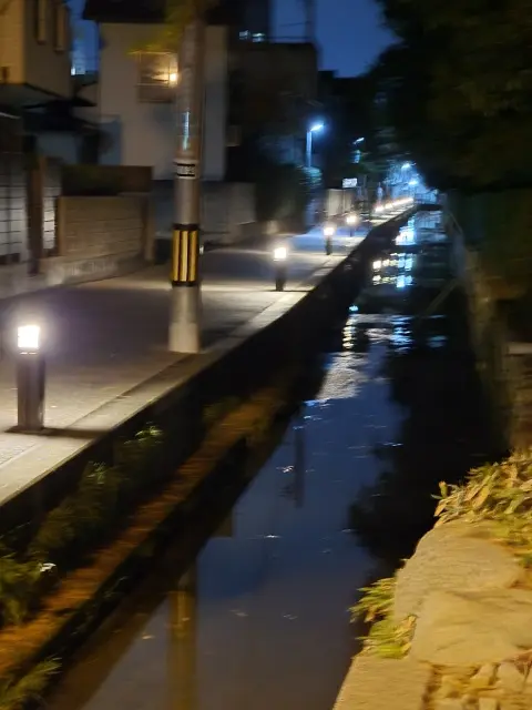 栗林公園ライトアップ_1_15