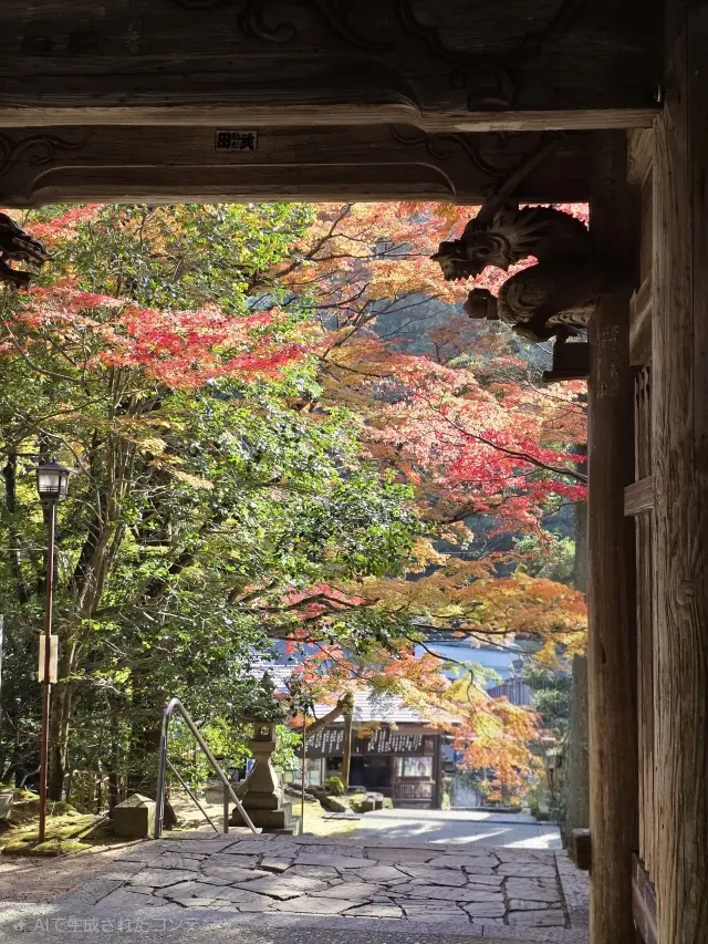 秋の紅葉とランチ_1_5