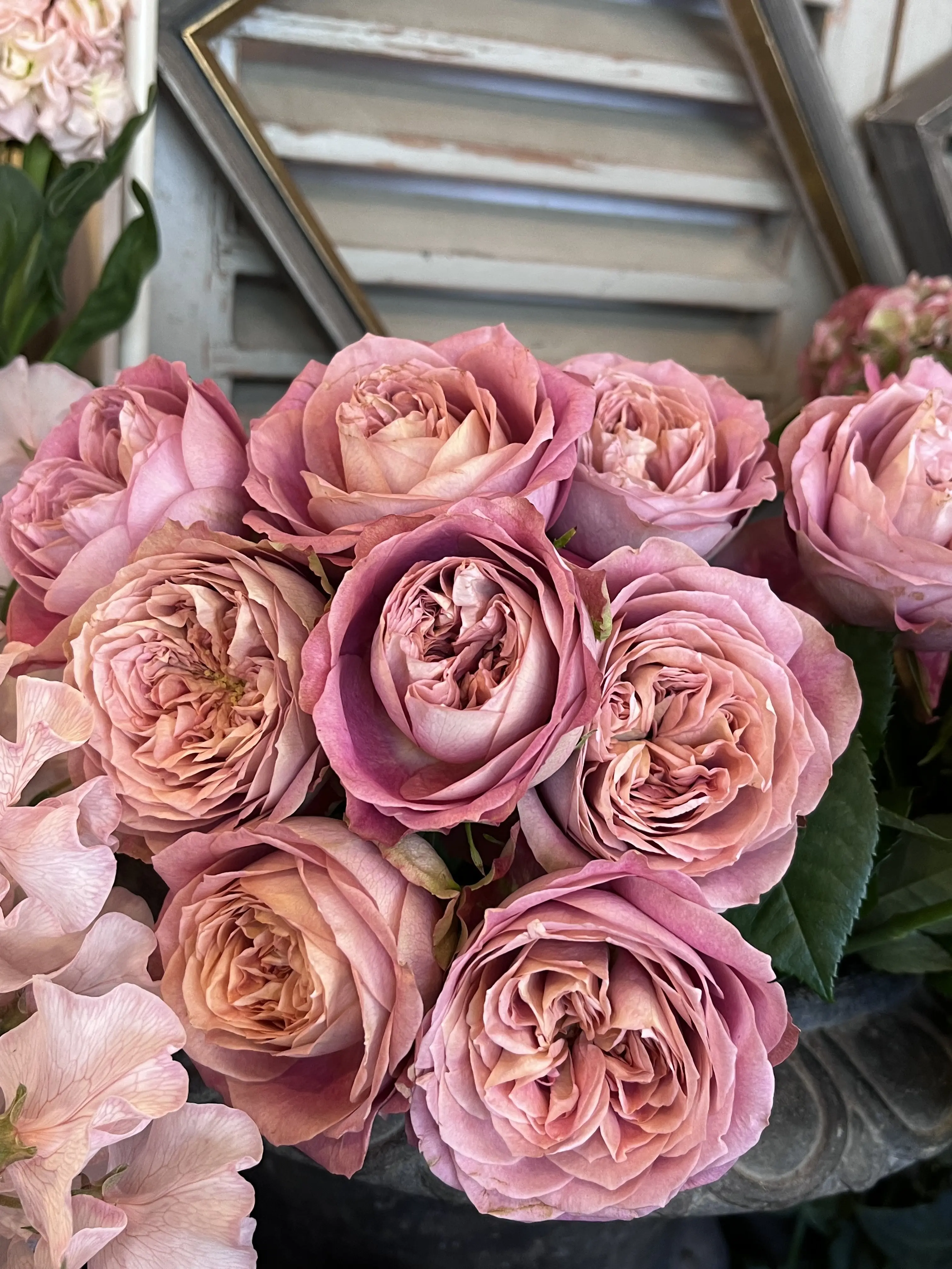 誕生日のブーケと最後にちょっとだけキラキラ観賞_1_1-2