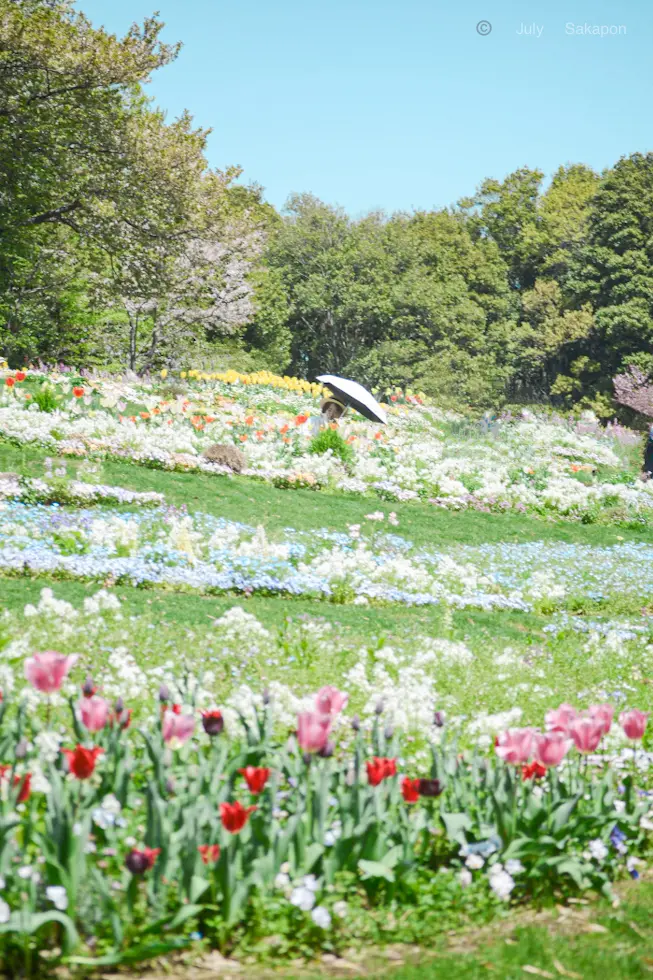 【さかぽんの冒険】春の里山ガーデンフェスタ2024_1_2
