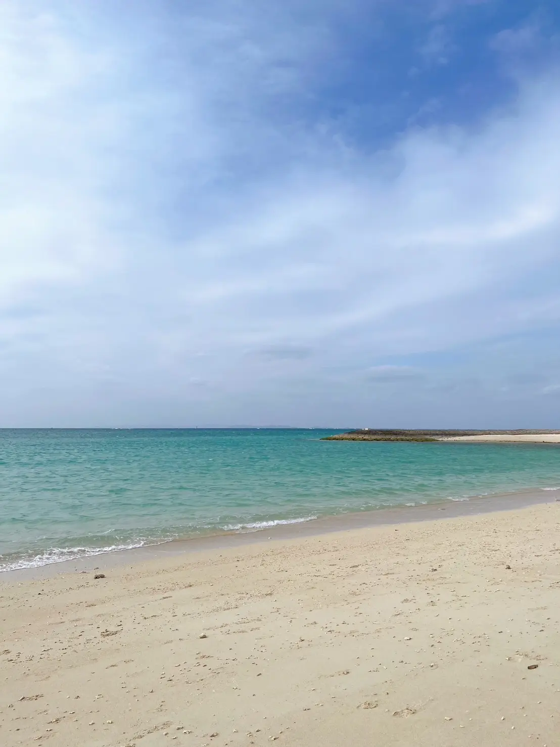 冬の沖縄！！海、空、食に癒された贅沢時間！_1_4