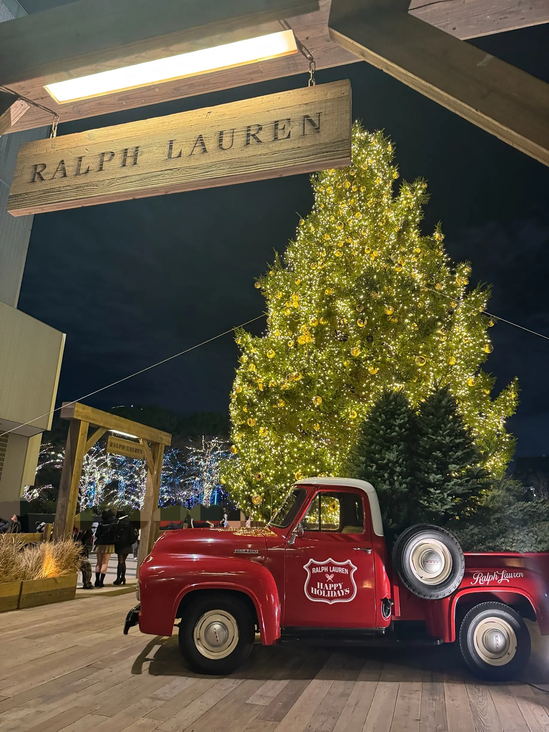 この冬見たい、心に残る東京イルミネーション3選_1_7