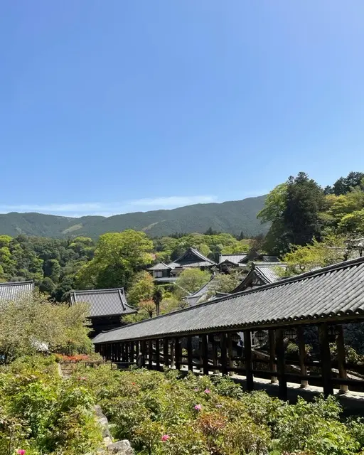 奈良長谷寺へ〜花癒しのドライブ_1_1-1