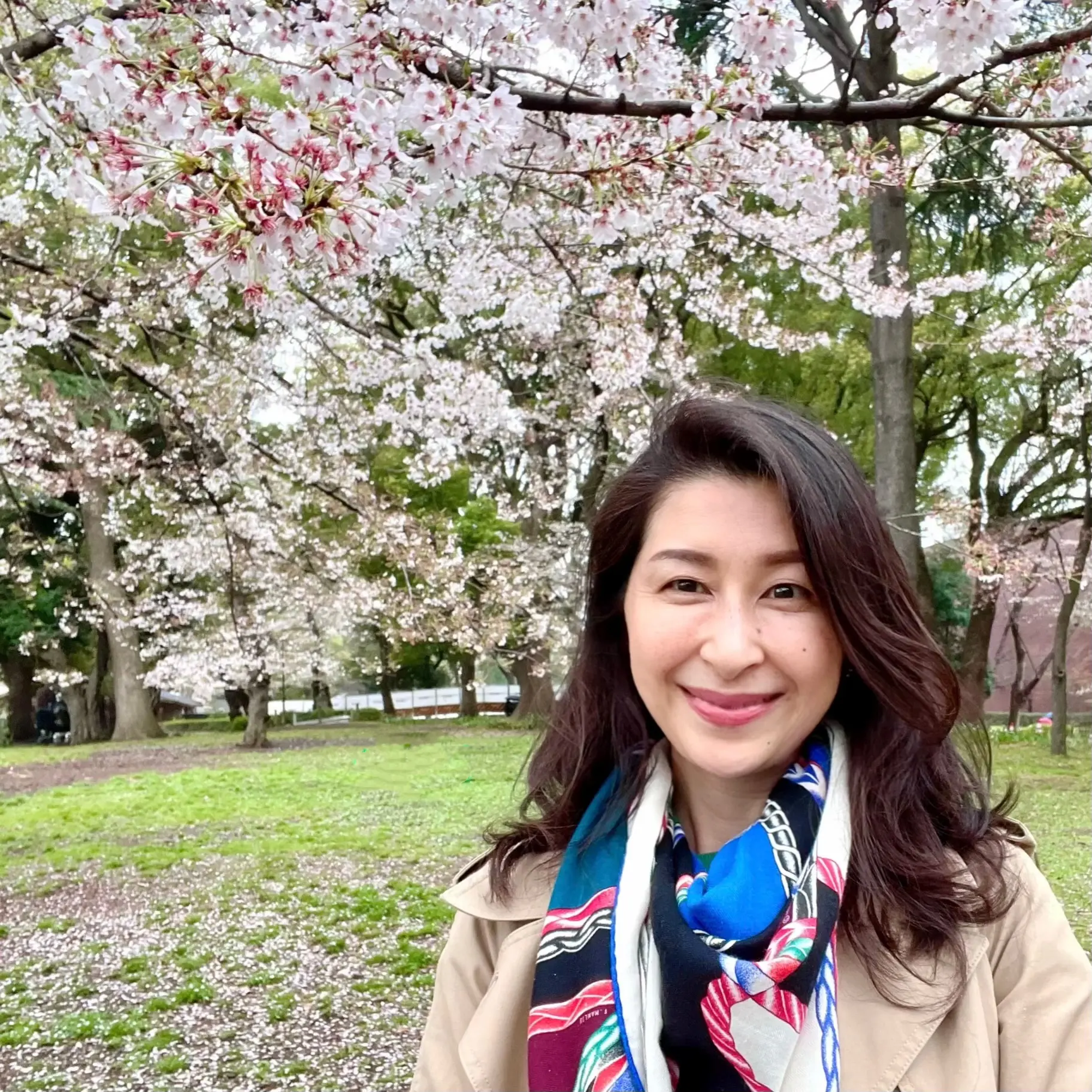 上野恩賜公園の桜と私