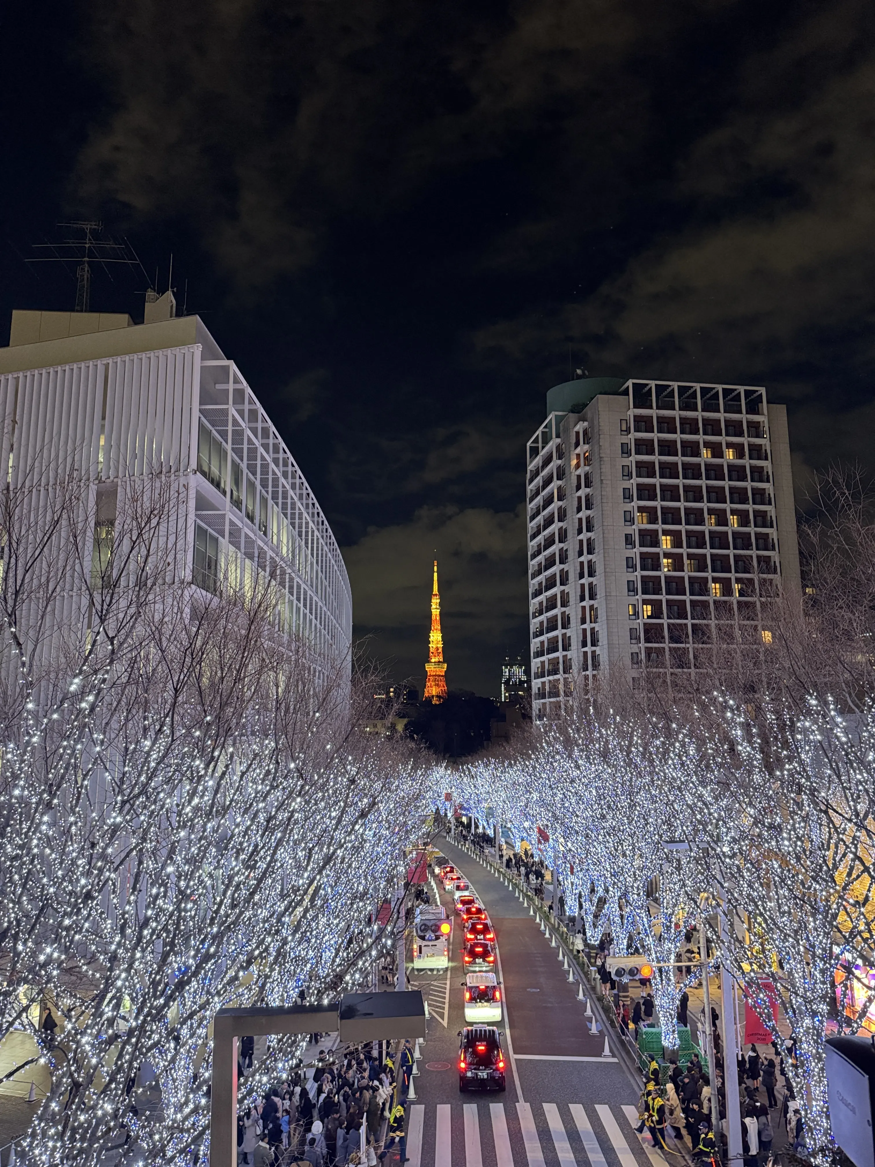 この冬見たい、心に残る東京イルミネーション3選_1_1