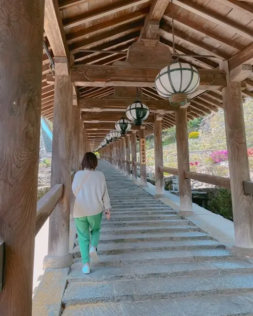 奈良長谷寺へ〜花癒しのドライブ_1_1-2