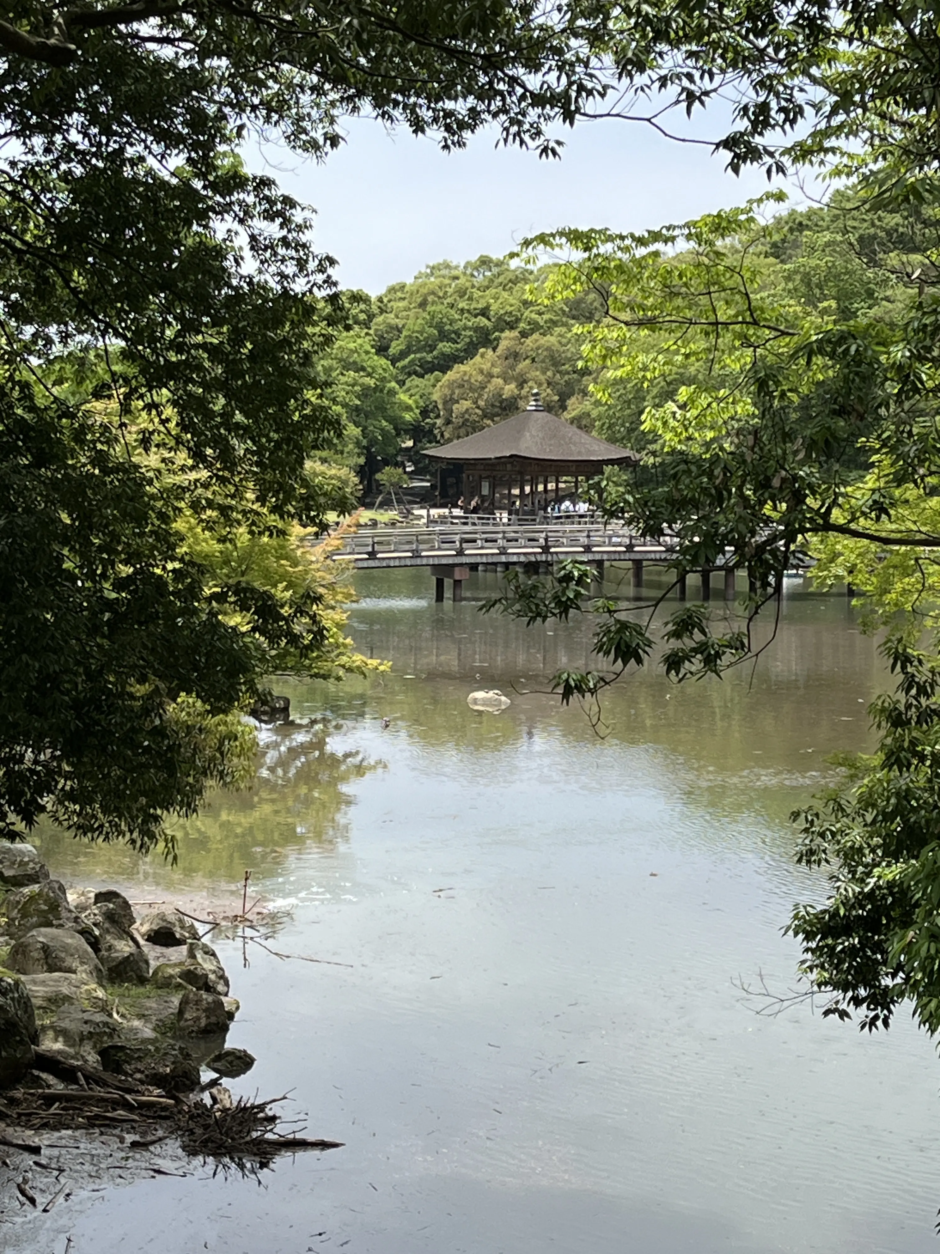 ふふ奈良で緑を愛でながらランチ。_1_1-2