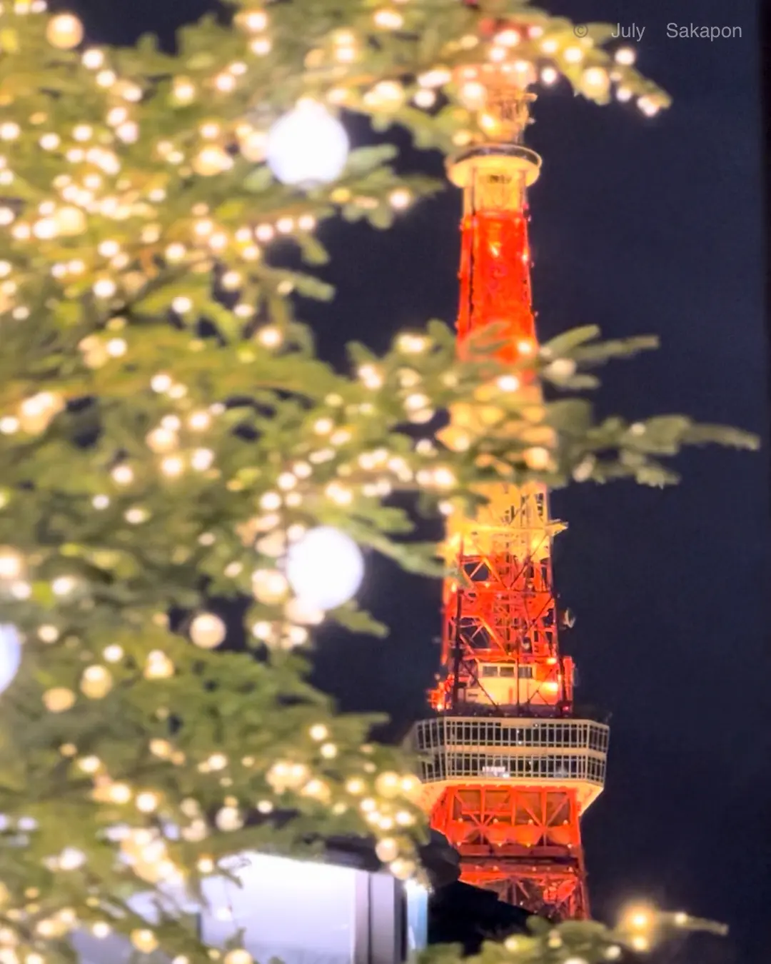 【プチギフト】自宅でChristmasラッピング🎁の巻✨_1_6