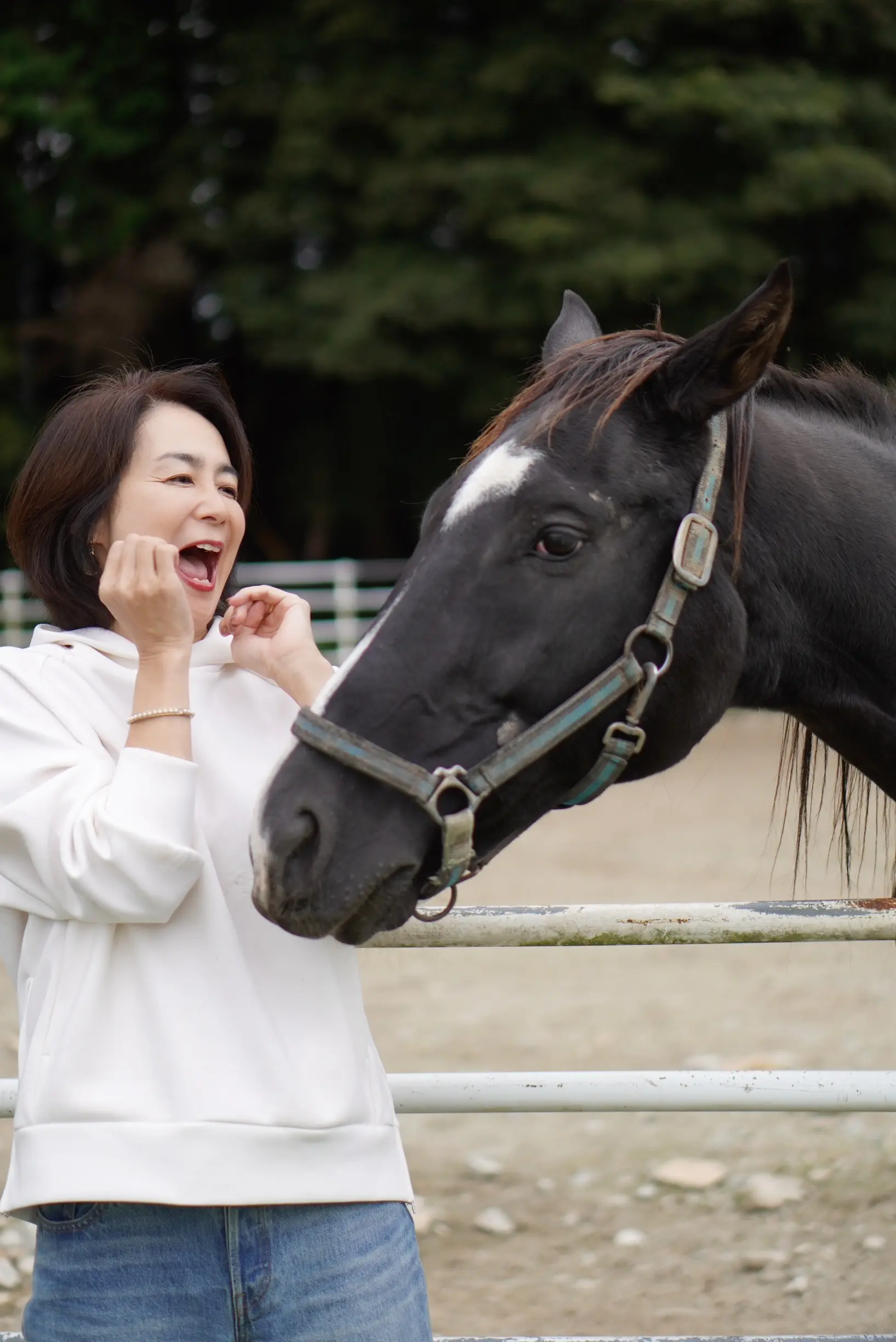 【秋の那須旅行①】超人気ベーカリーレストラン「ペニーレイン」、千本松牧場で馬と触れ合い_1_8-2