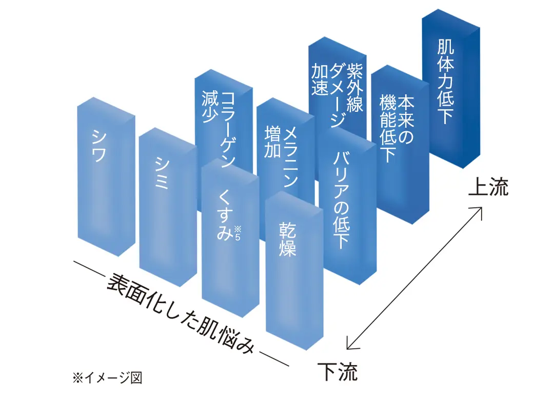 ※イメージ図