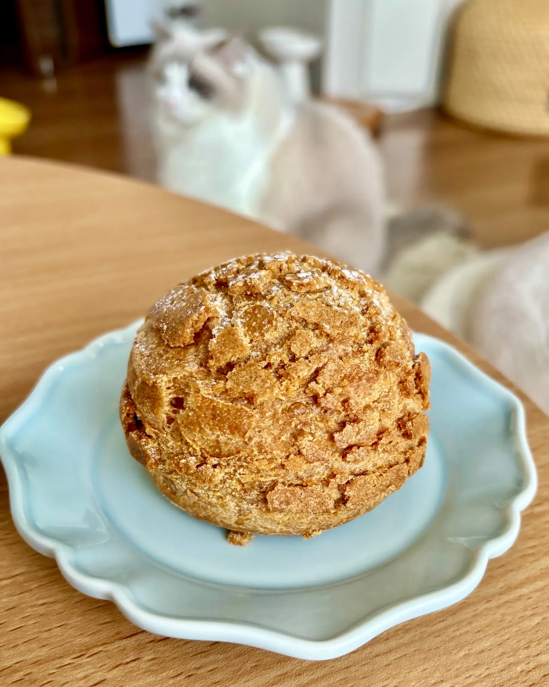sarkarのシュークリームとうっすらと猫