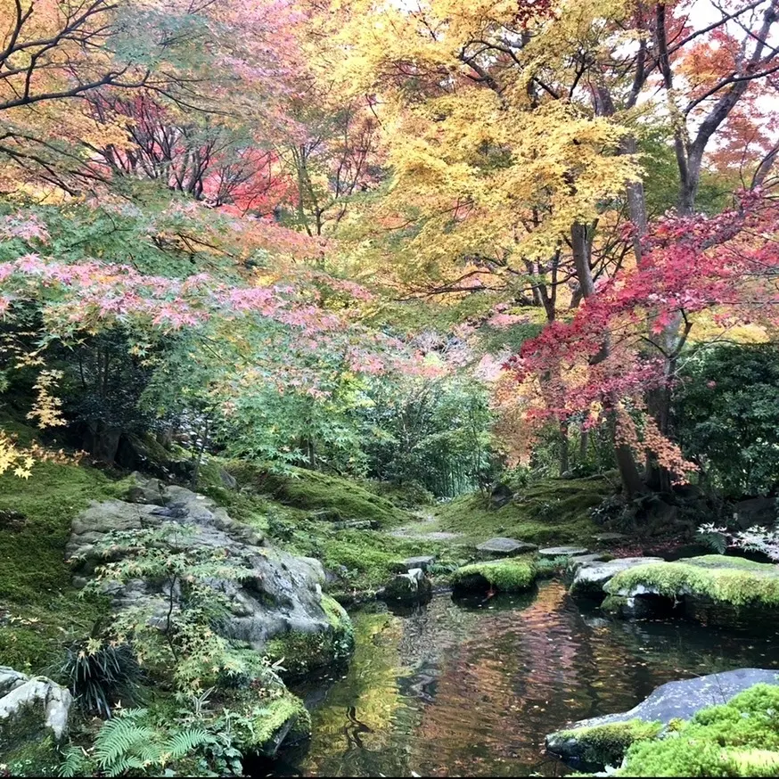 秋の景色を楽しむ♡京都の紅葉_1_18