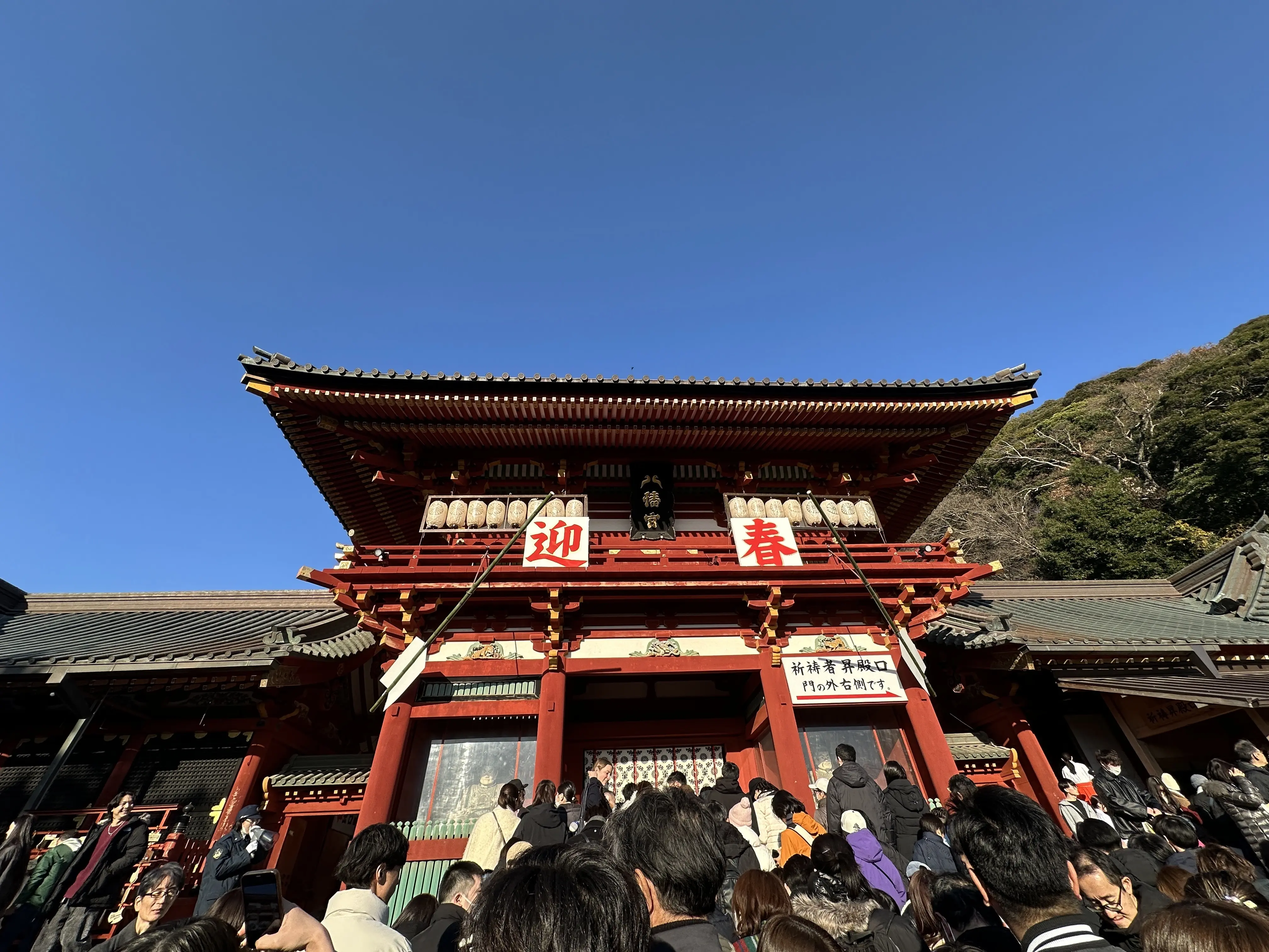 鶴岡八幡宮　初詣　お参り　お正月