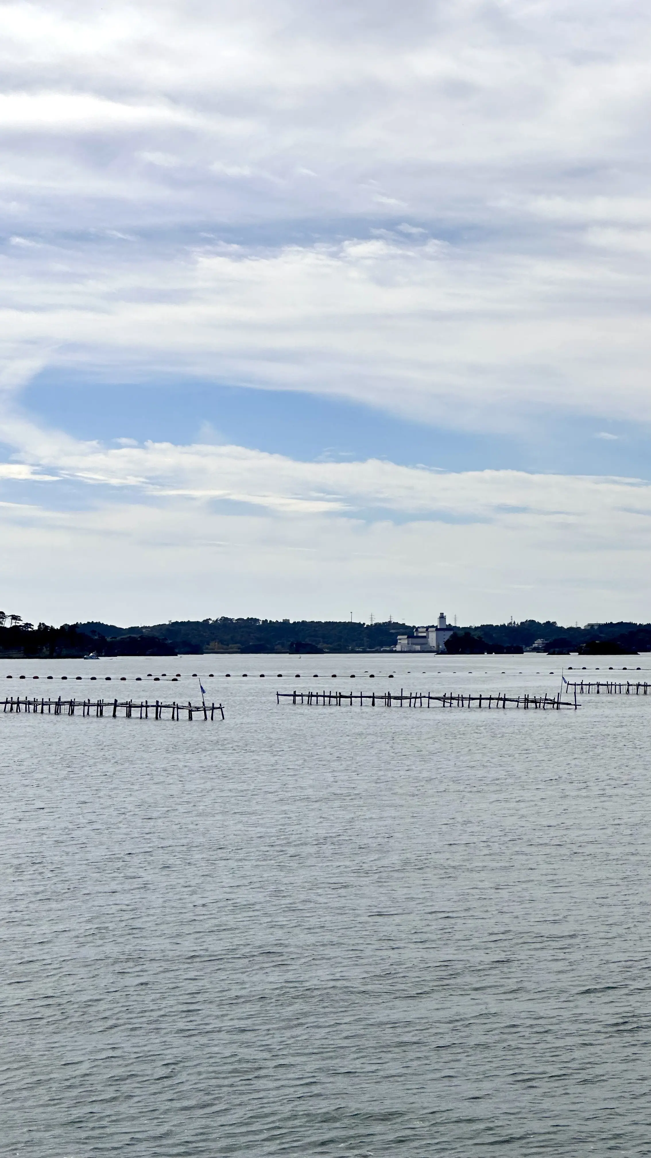 【秋の仙台旅行】「宮島」と「瑞巌寺」で鷹匠🦅にチャレンジ_1_7