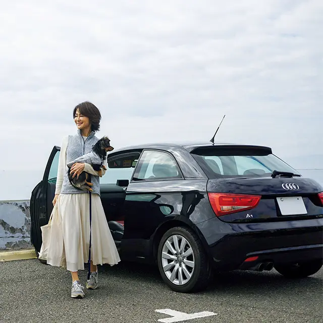 散歩コースの鎌倉の海へも、ピクニックセットを積んで車を走らせる