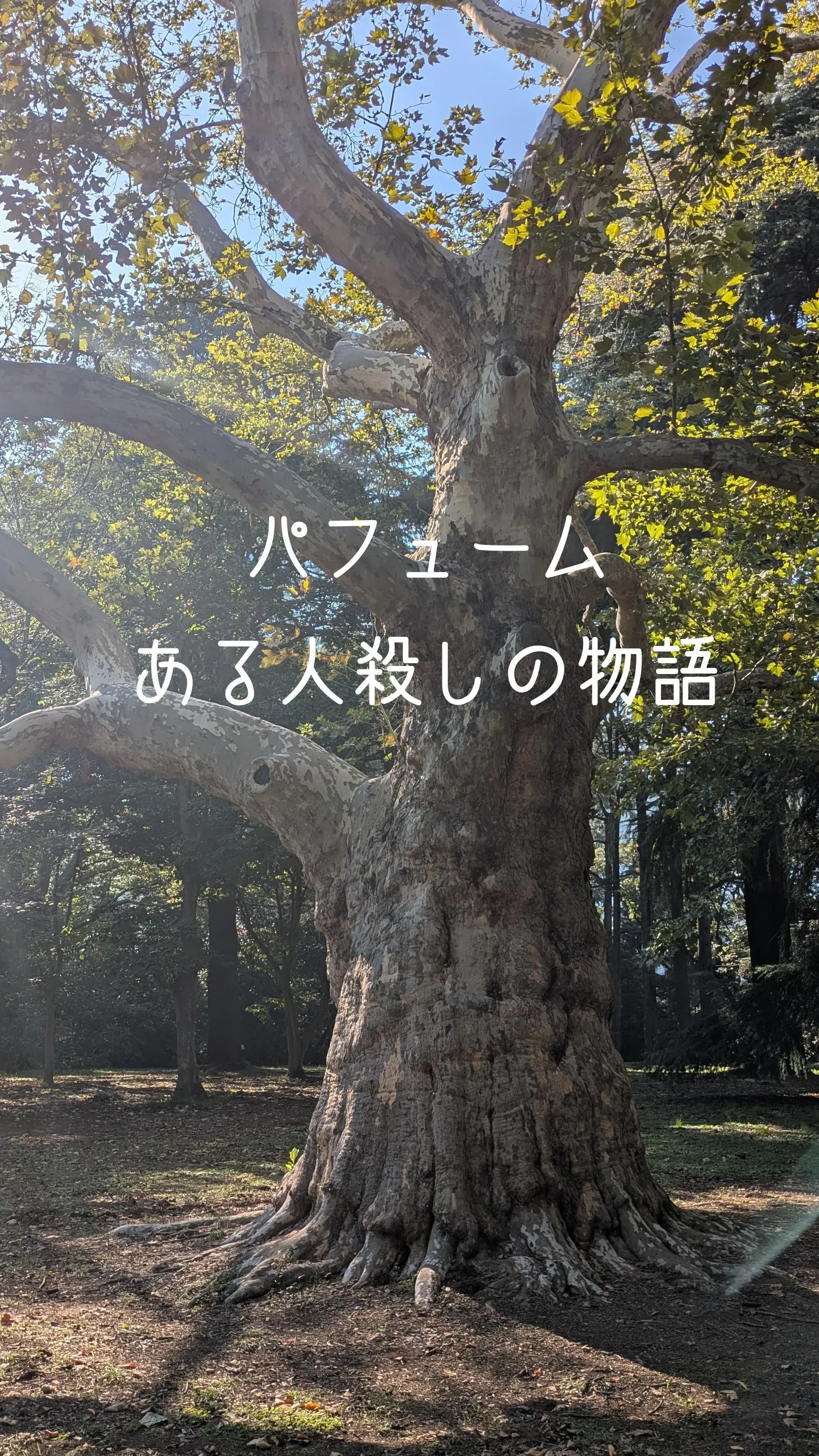 パルフュメア禁断の調香