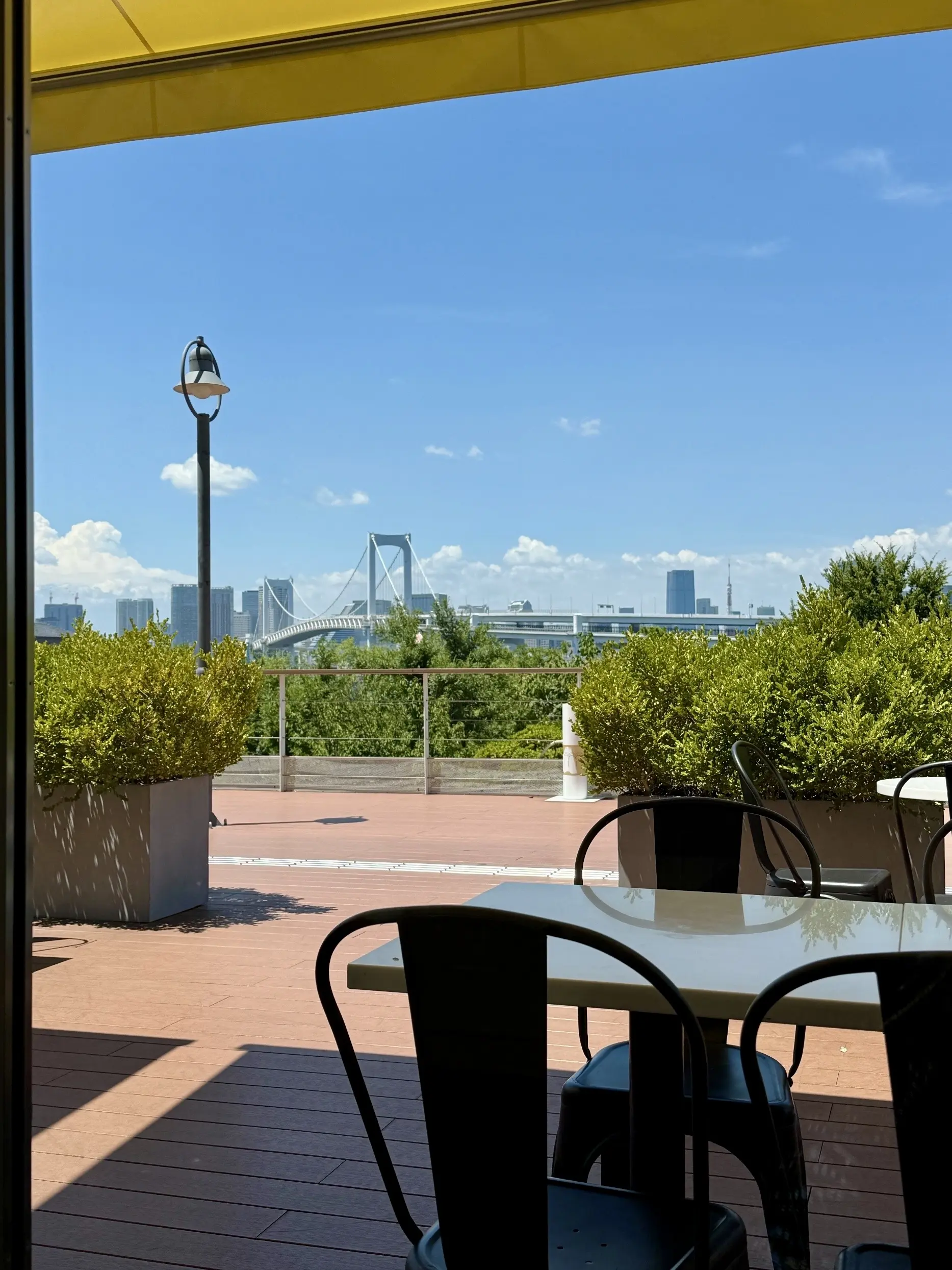 お台場　レストラン　ビルズ　店内写真　窓際席からの景色