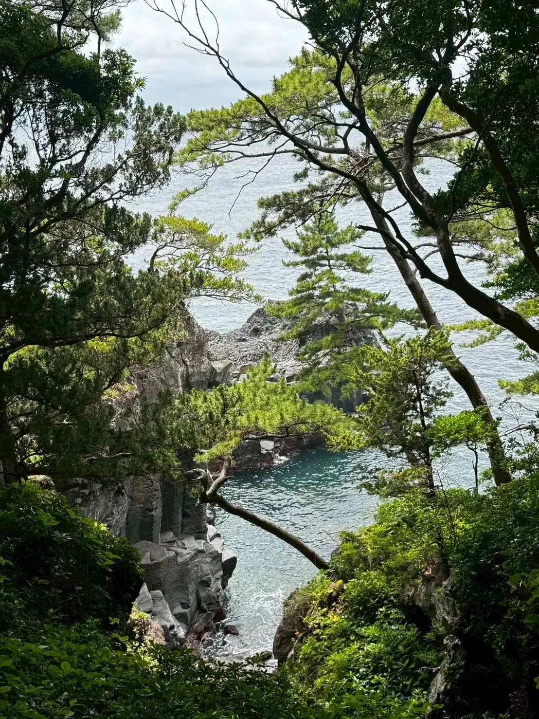 城ヶ崎海岸の断崖絶壁にかかる長さ60メートルほどのつり橋
