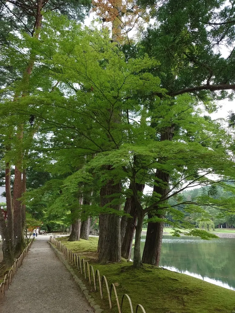 毛越寺⑤