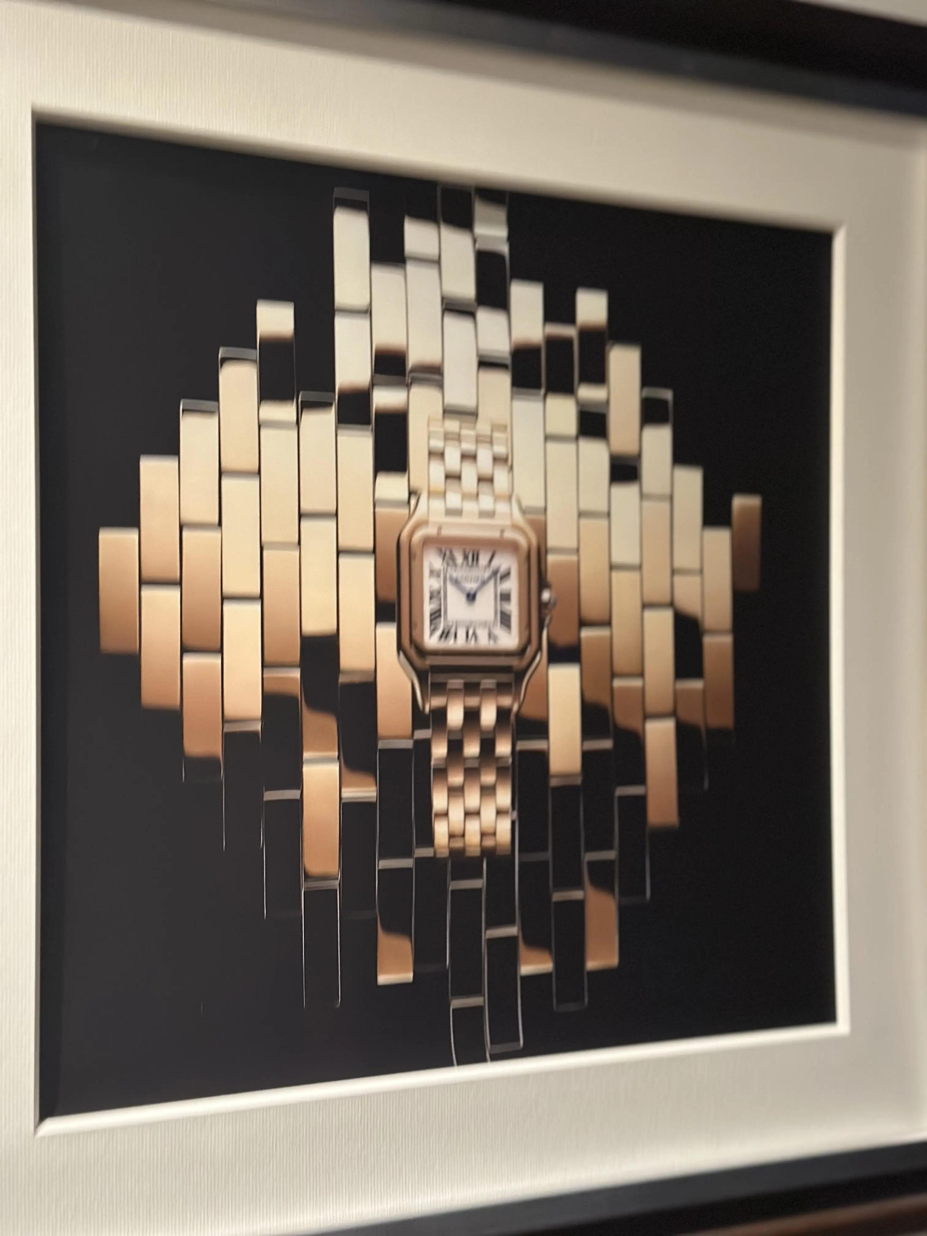 Cartier&quot;INTO TO THE WILD&quot;へ_1_10