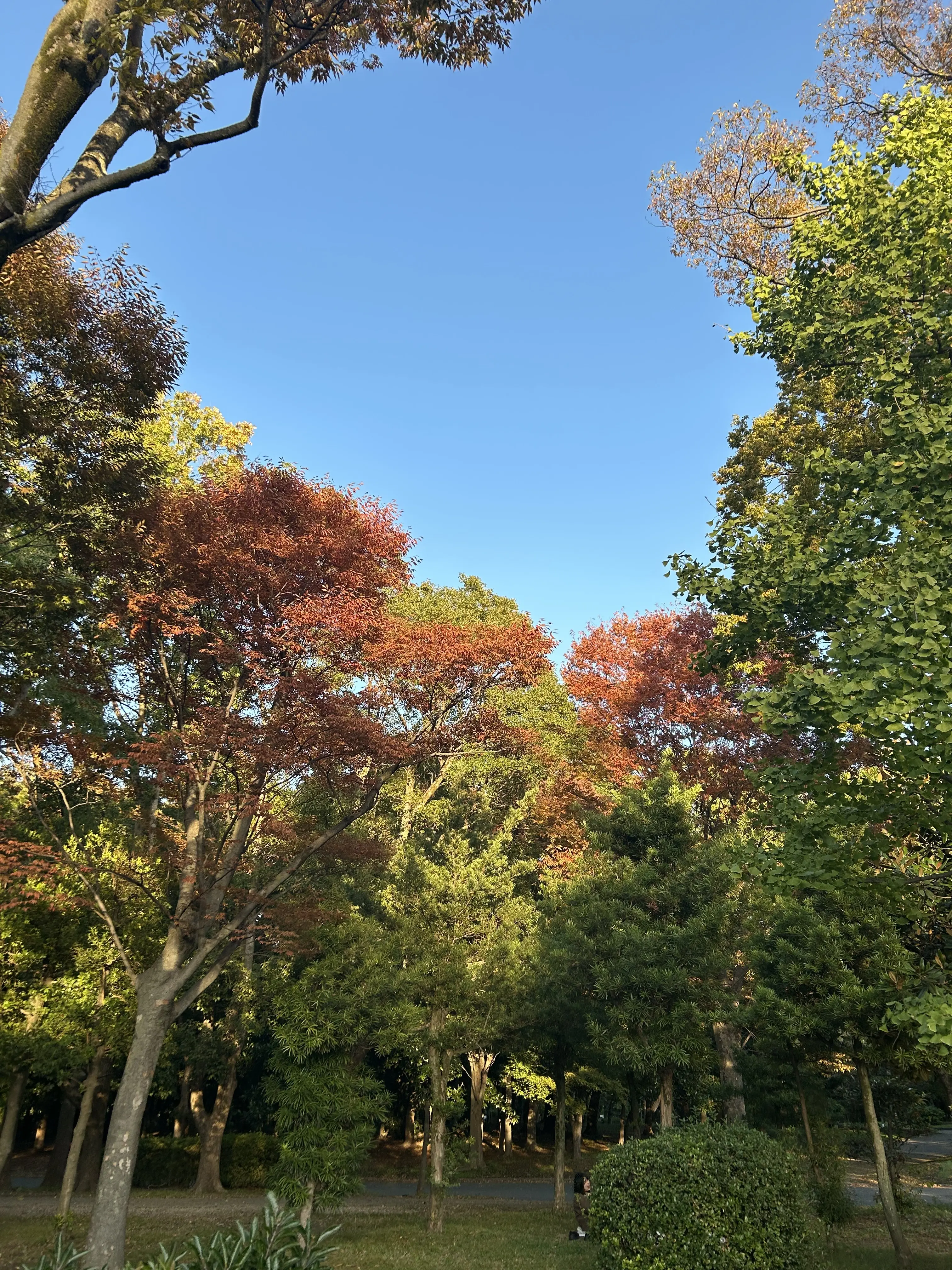 【きれいめ✖️カジュアル✨】トレンチコートで作る2つの私スタイル✨🧥_1_4