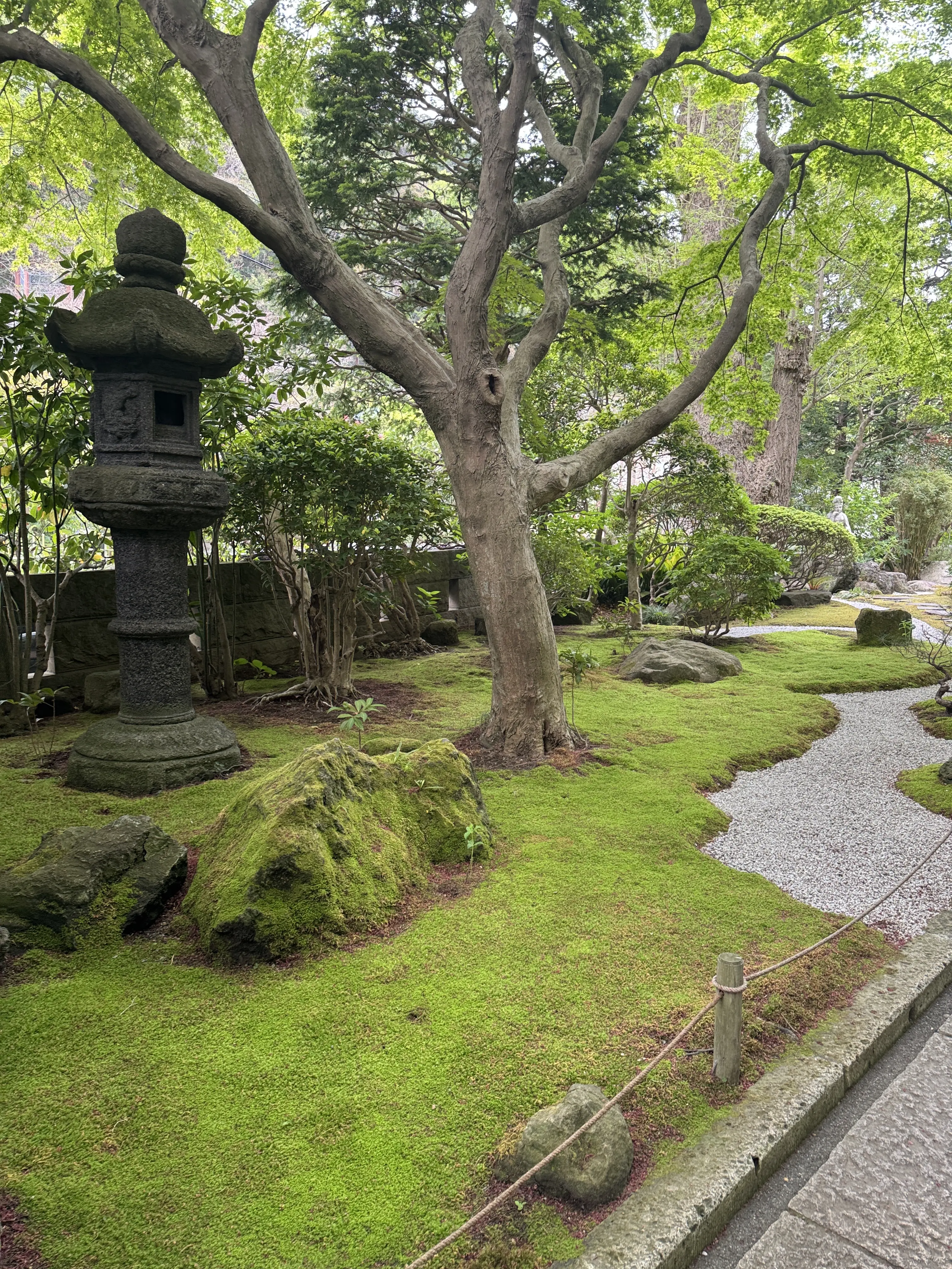 新緑の清々しい風を感じに鎌倉へ🌿_1_2