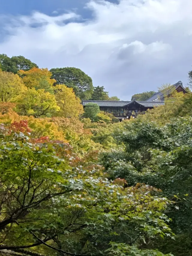 秋の京都ひとり旅・前編 〜弾丸旅の始まりは思い出の場所から〜_1_3