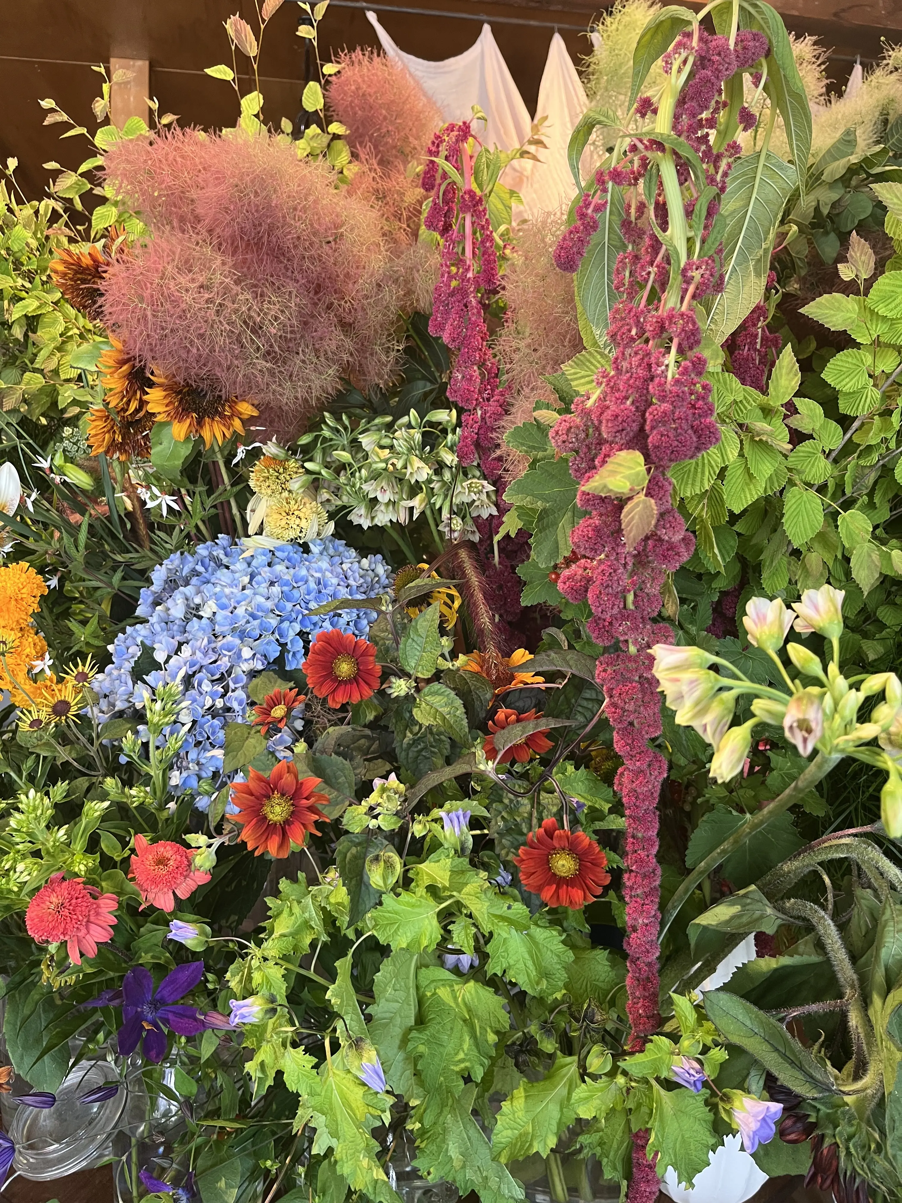 初夏のお花で『花屋で写真館♪』_1_3