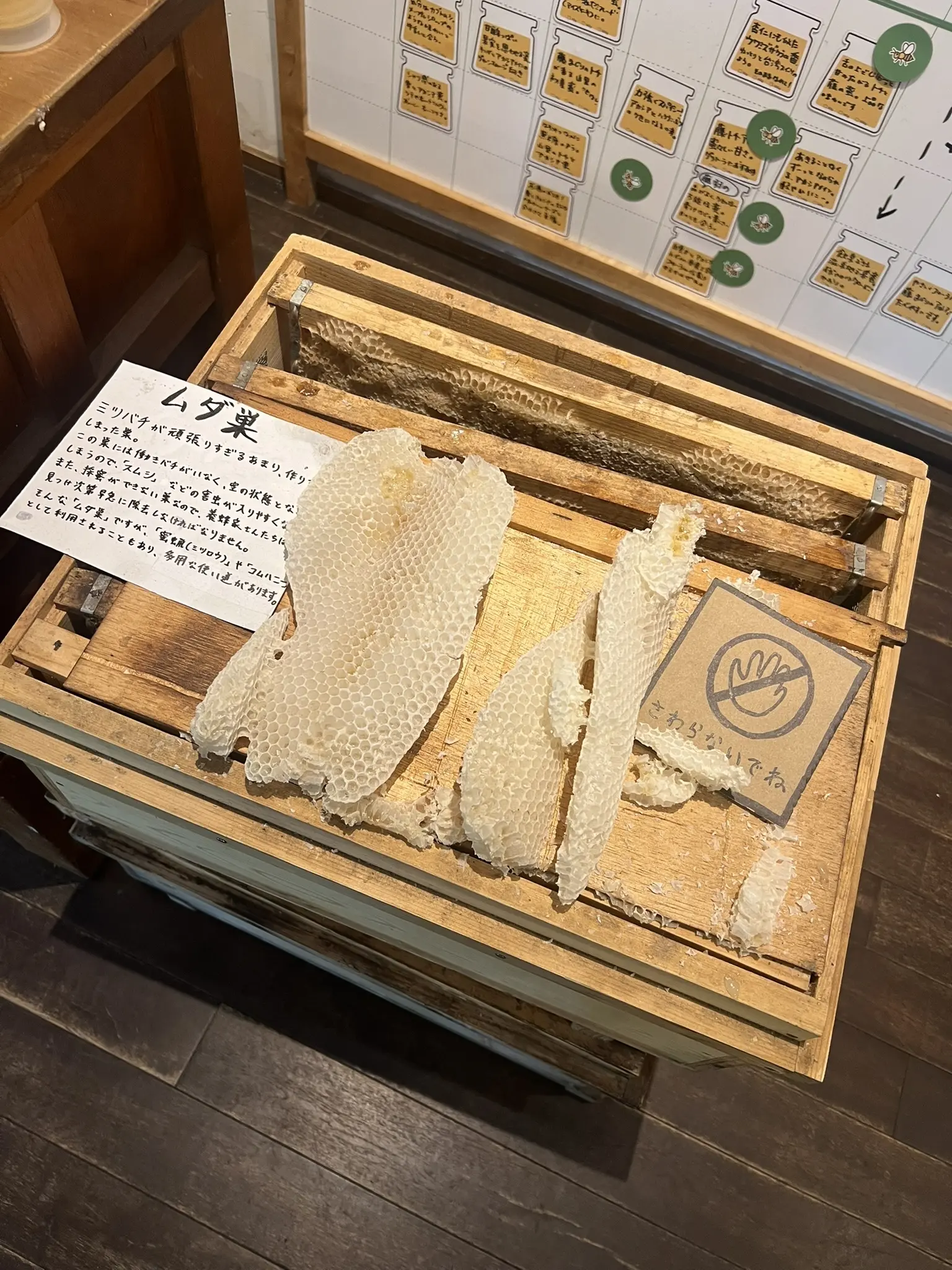 ルオムの森