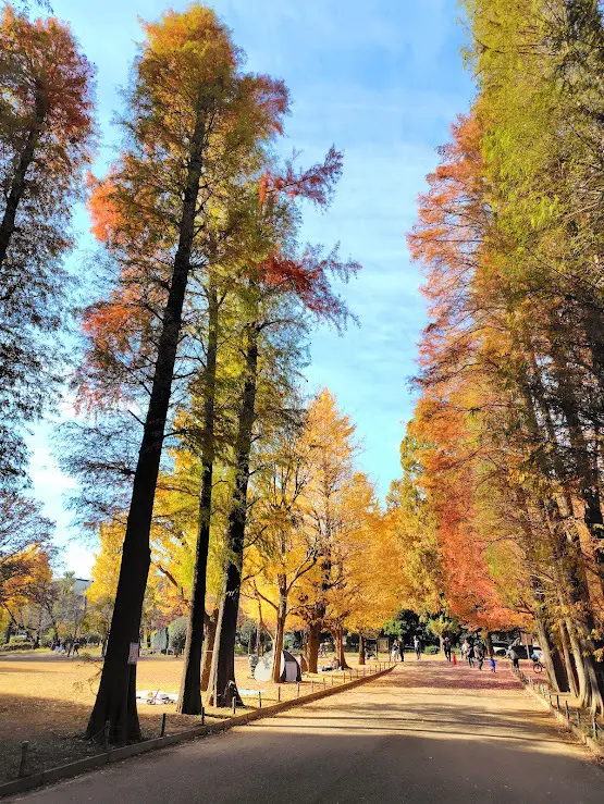 【H&amp;M】大人可愛いレオパードアウターで紅葉散策_1_3-1